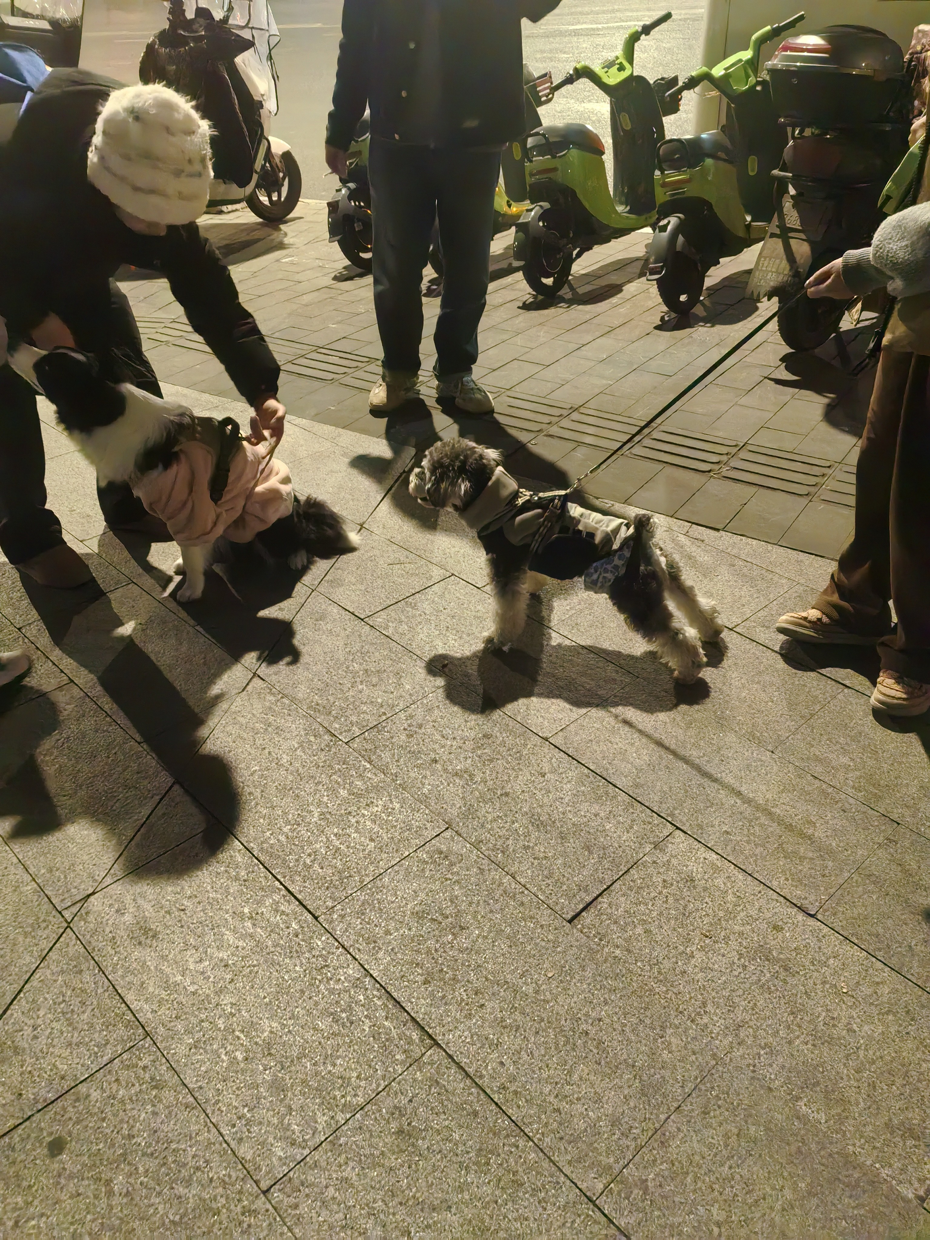 图片附件