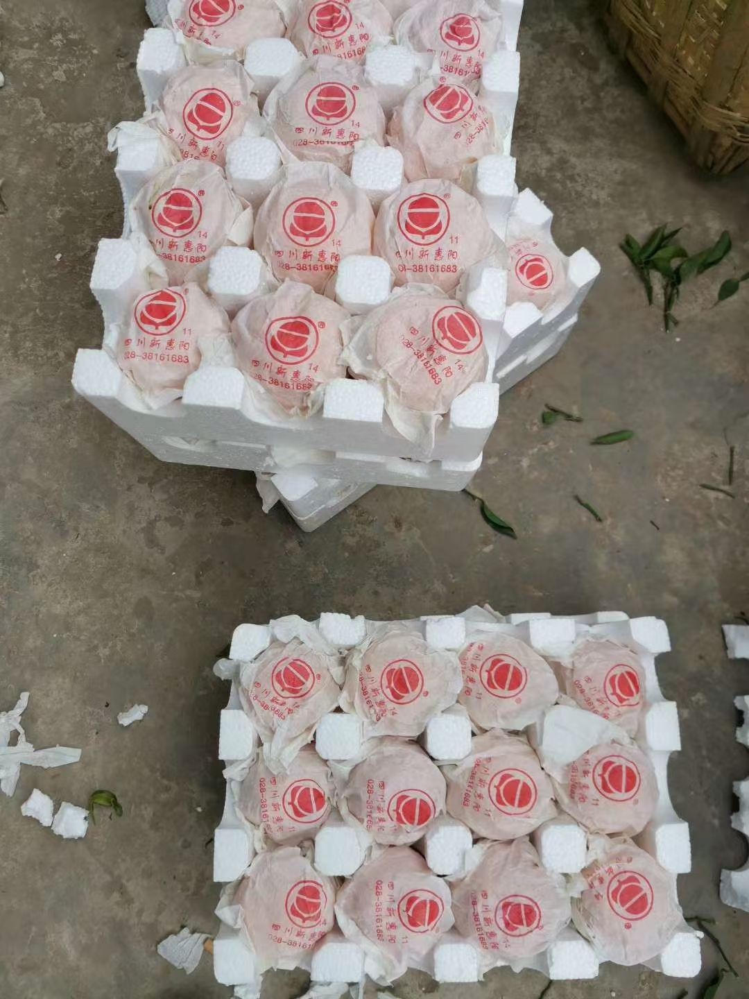 图片附件