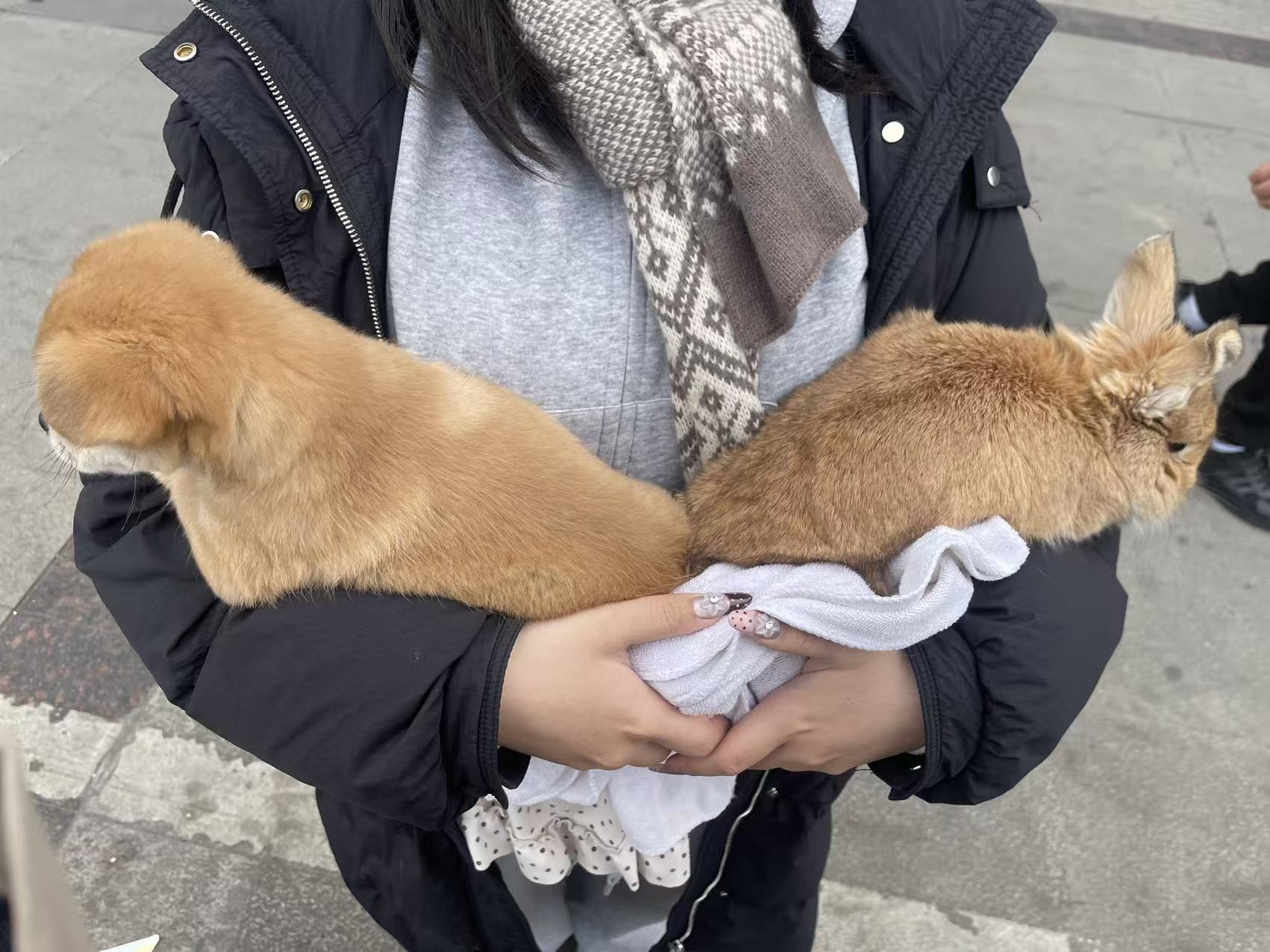 图片附件