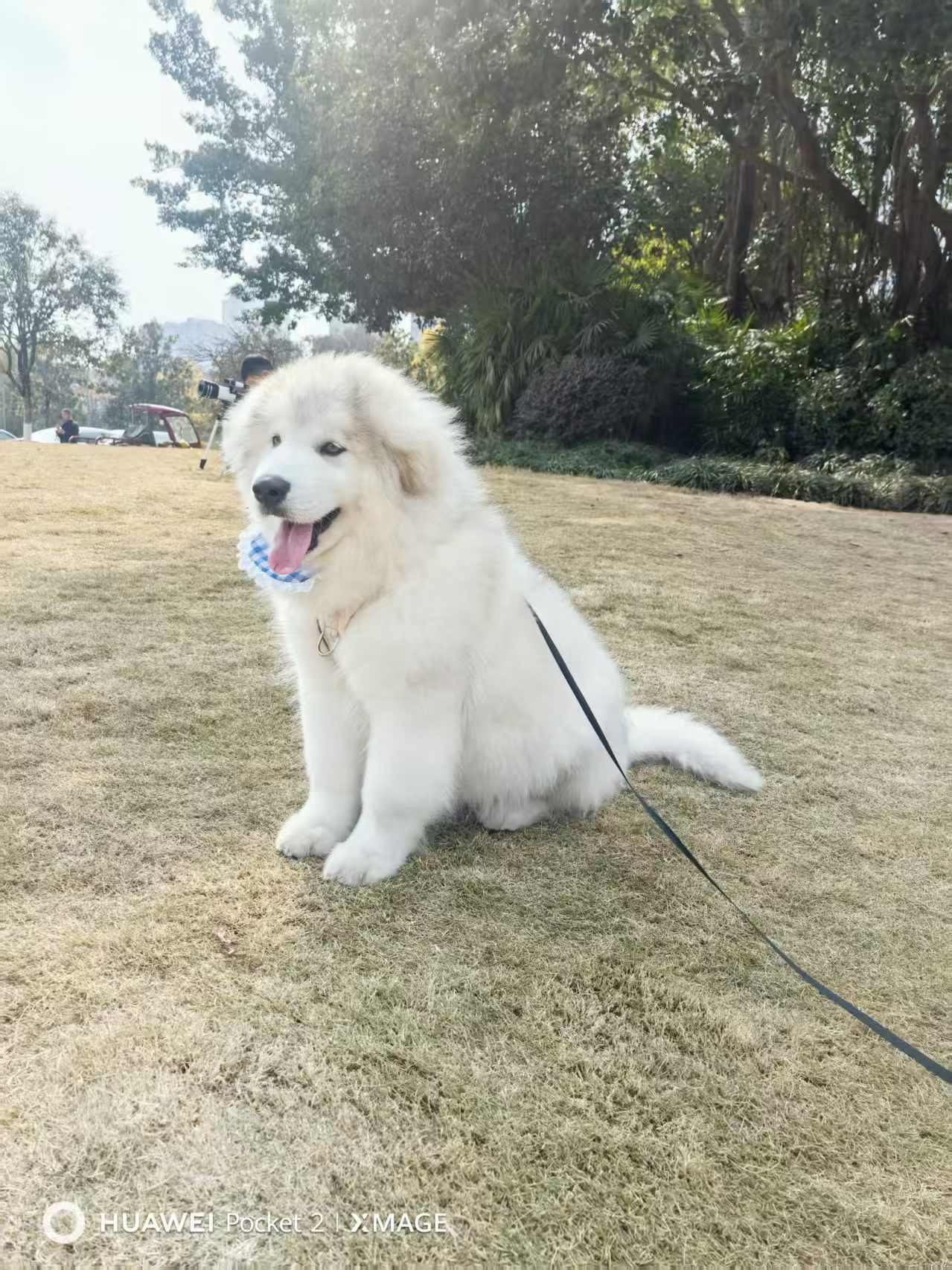 图片附件