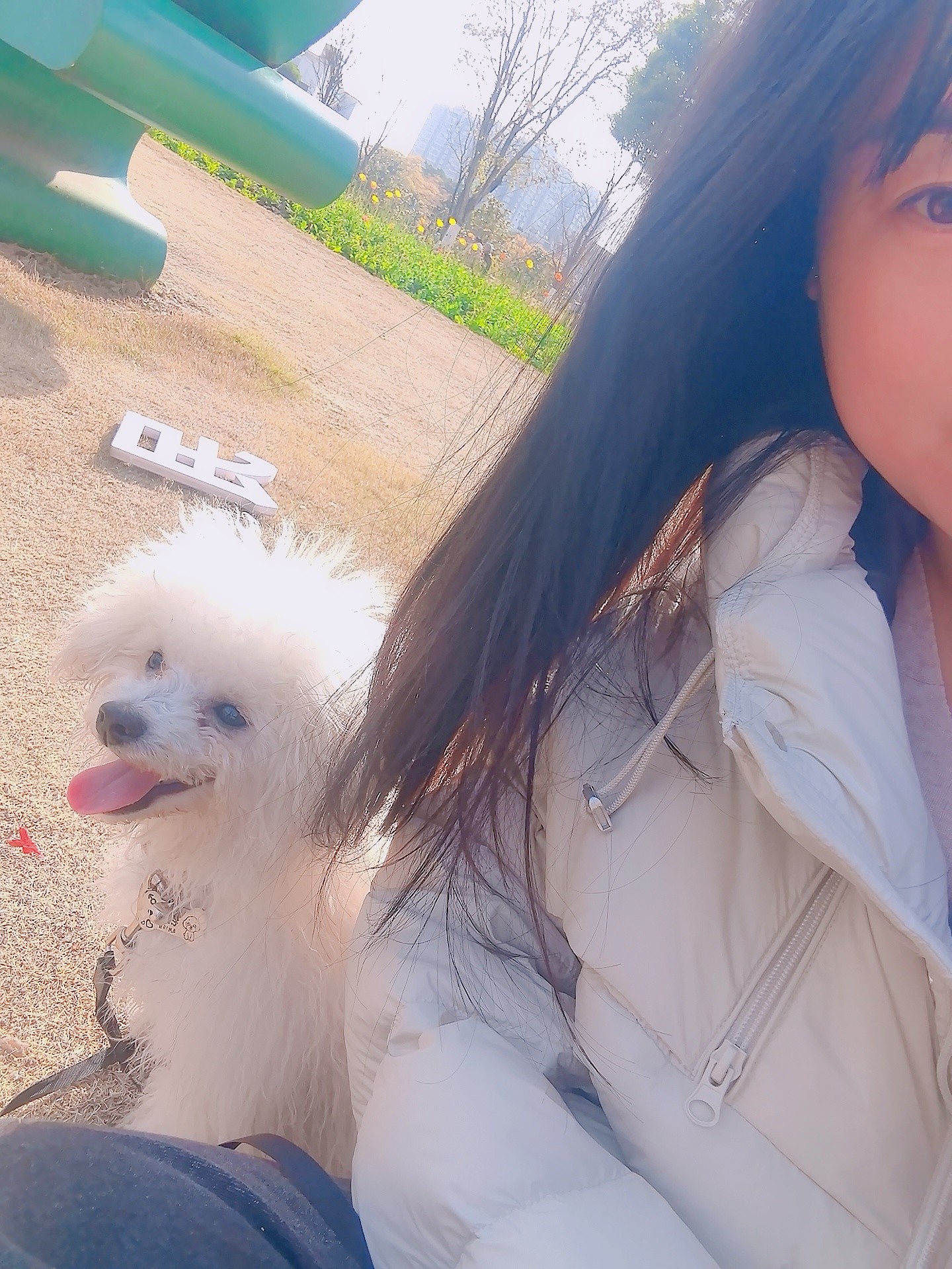图片附件
