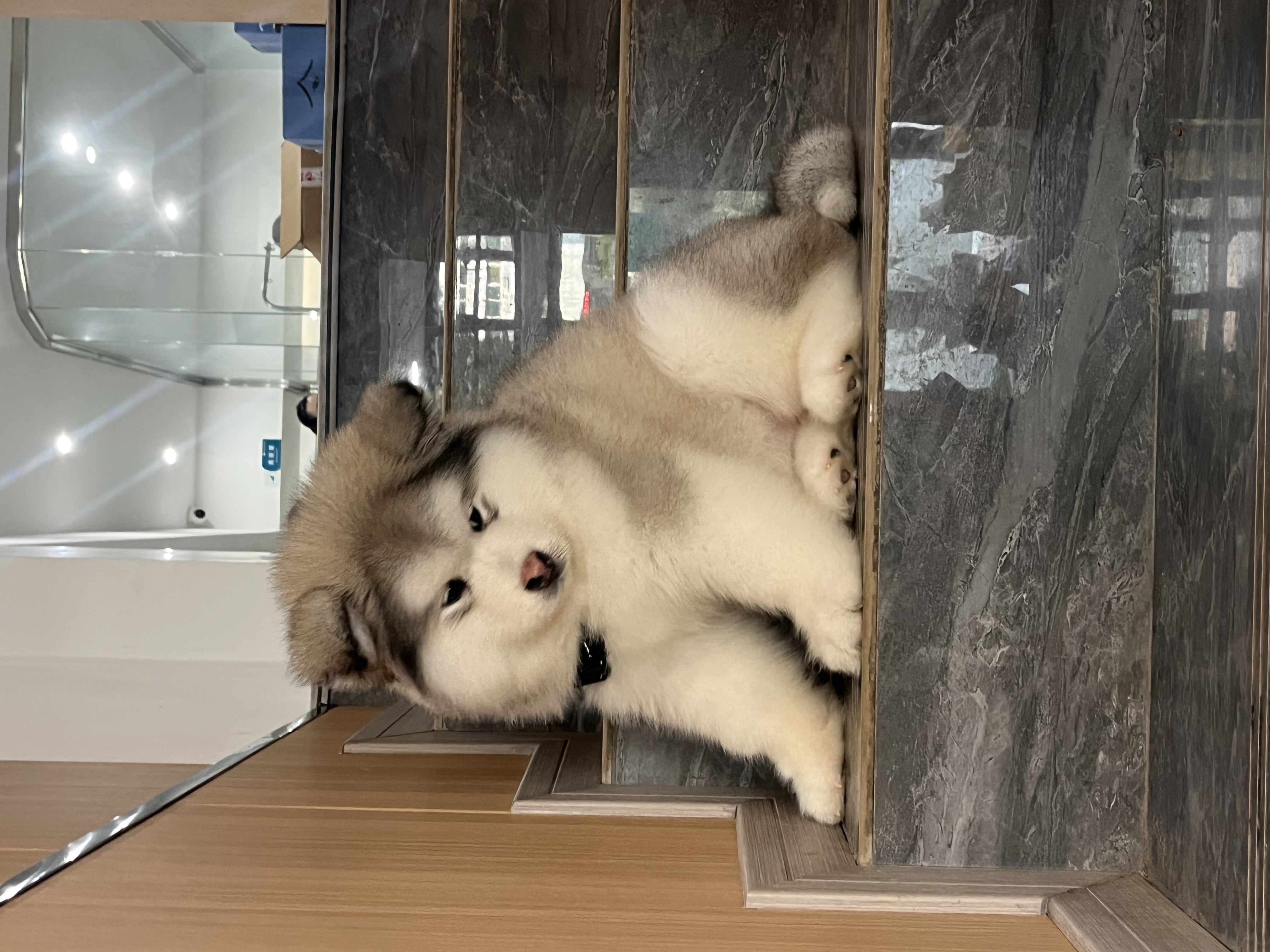 图片附件