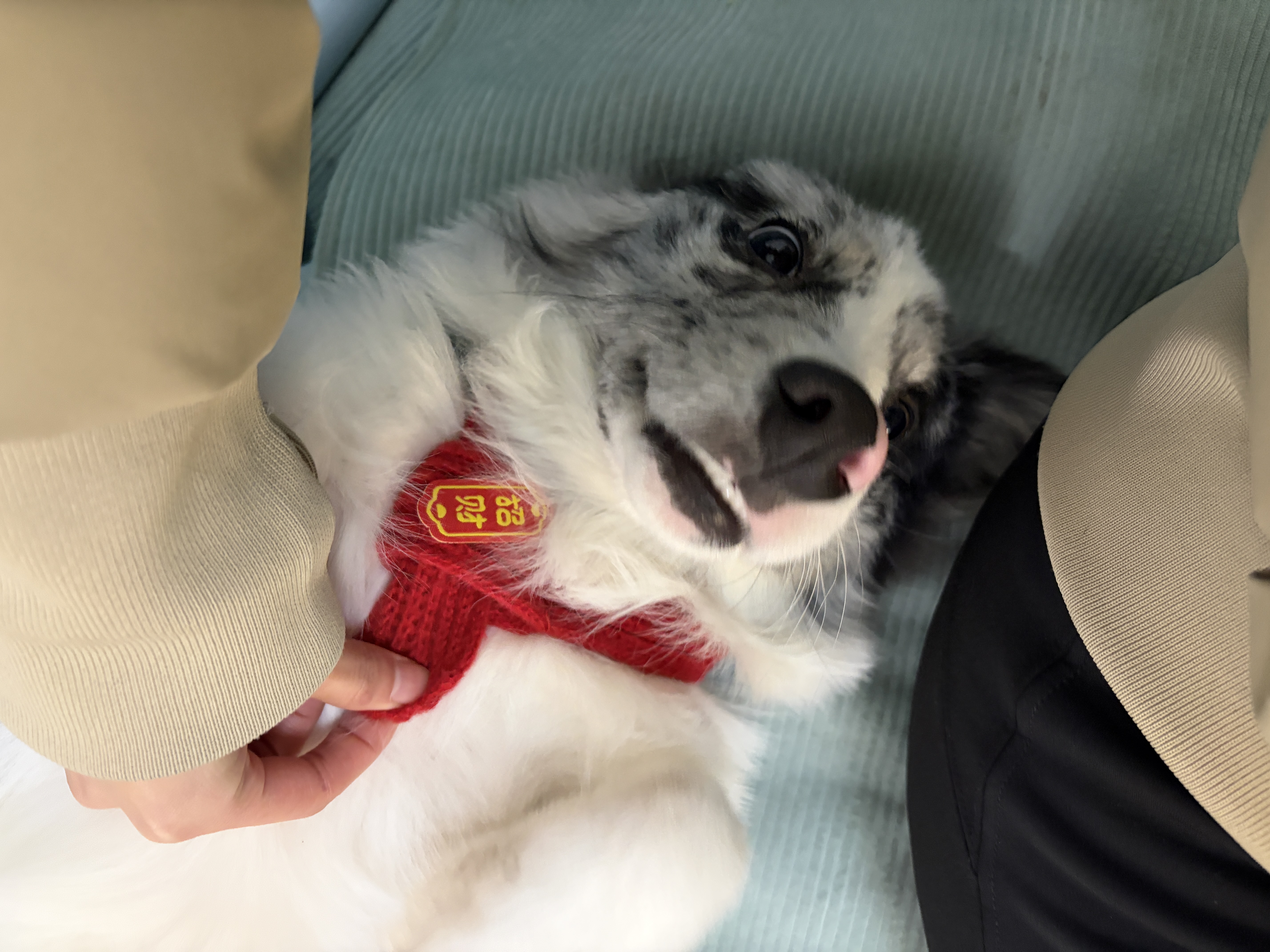 图片附件