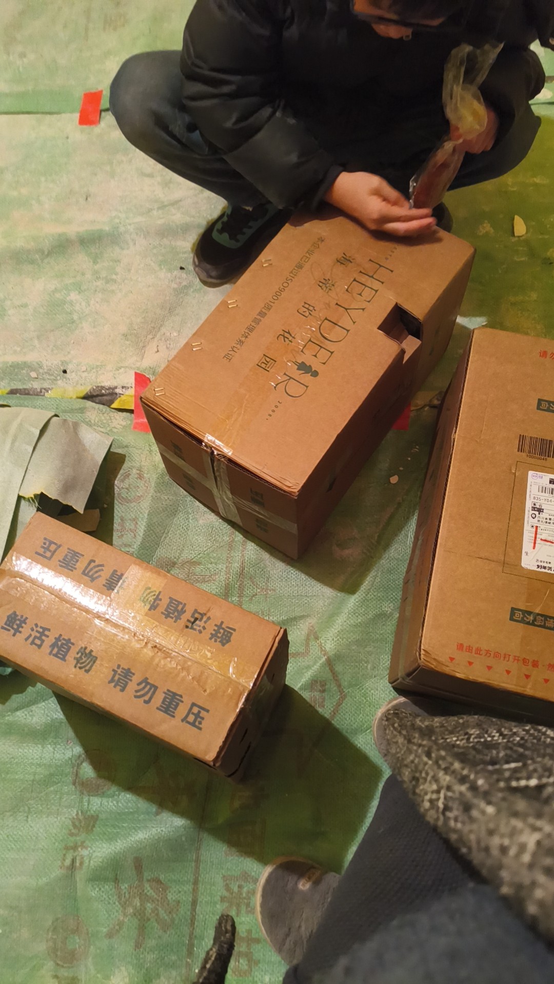 图片附件
