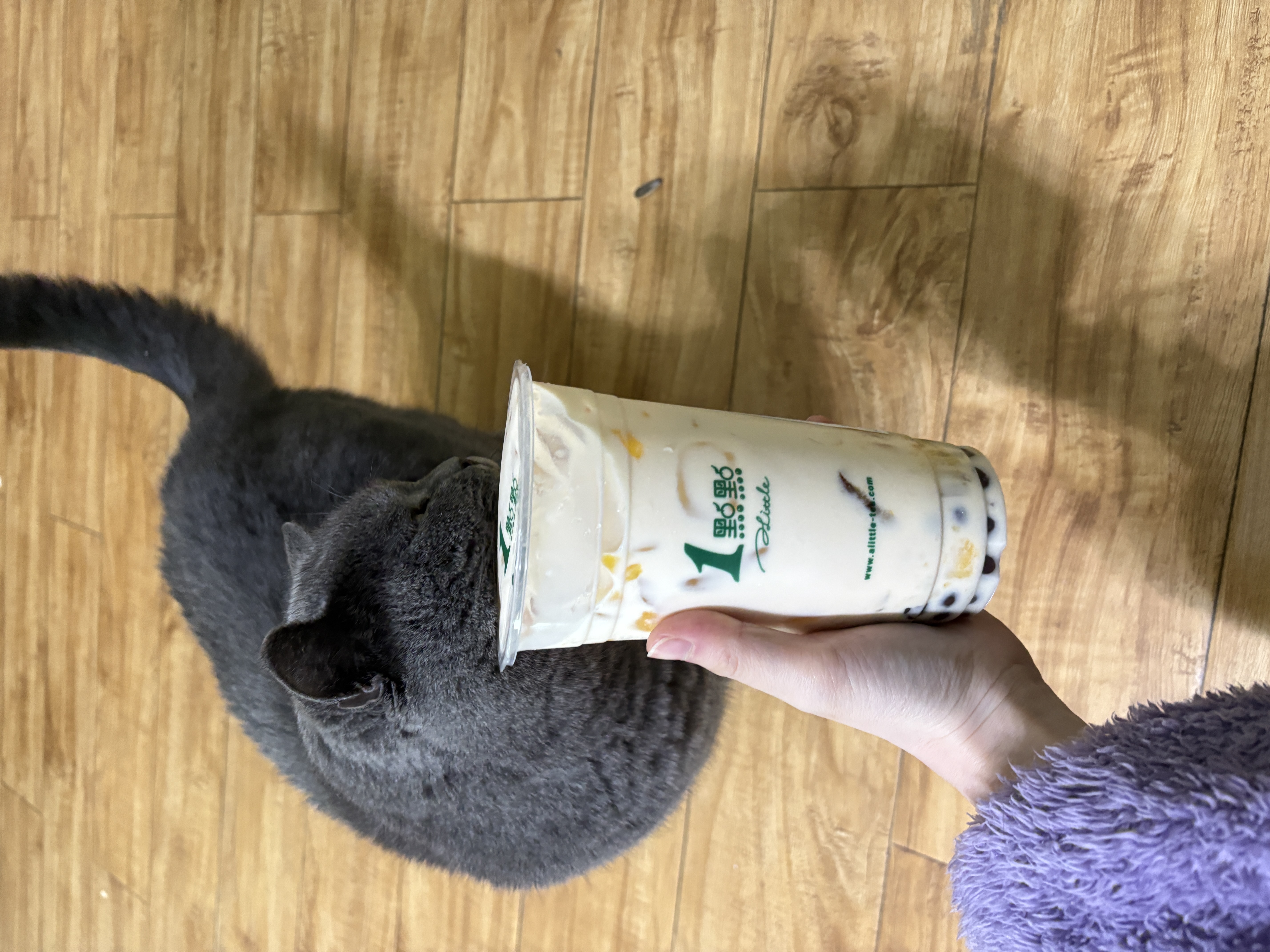 图片附件