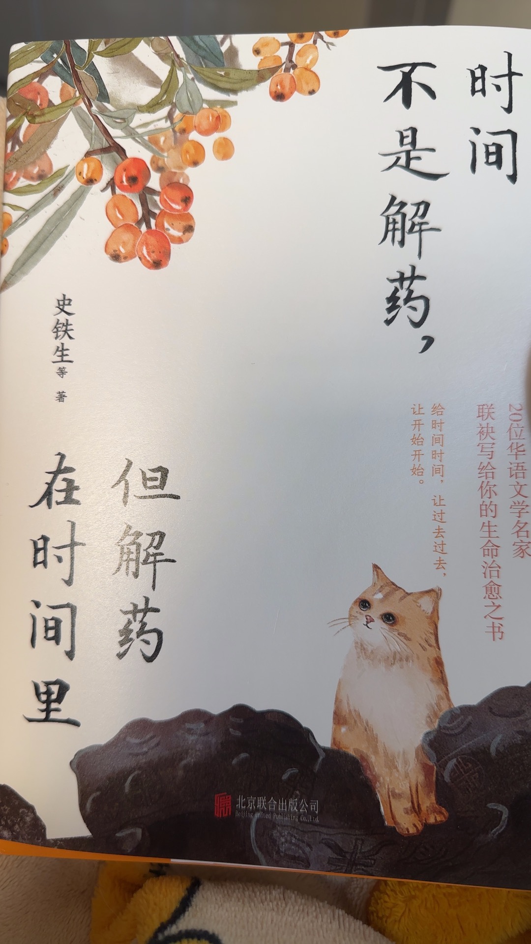 图片附件