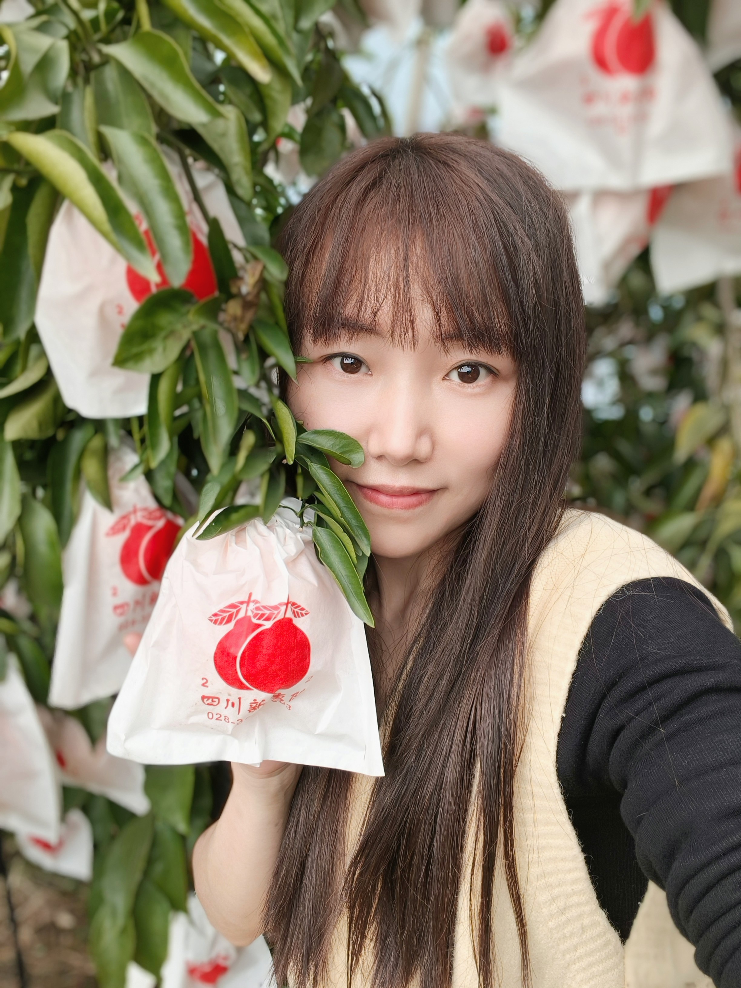 图片附件