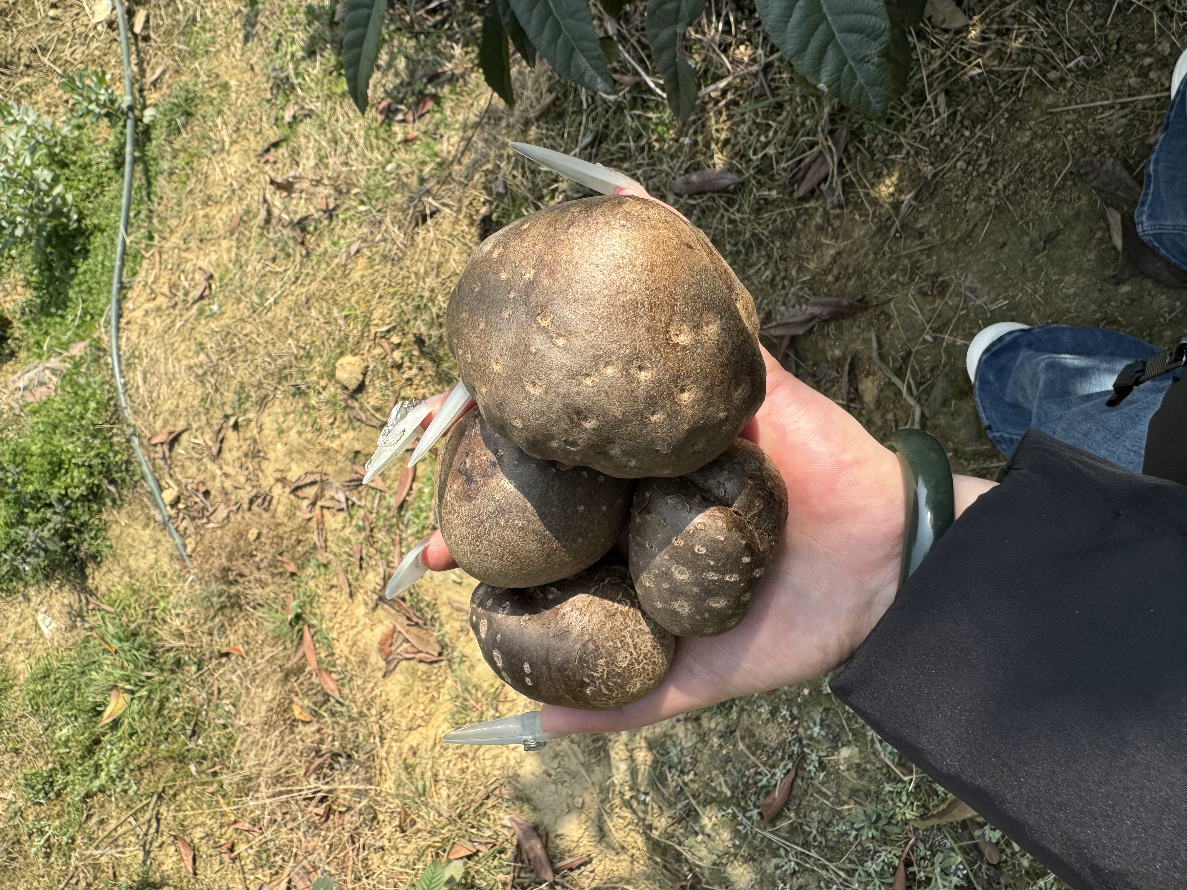 图片附件