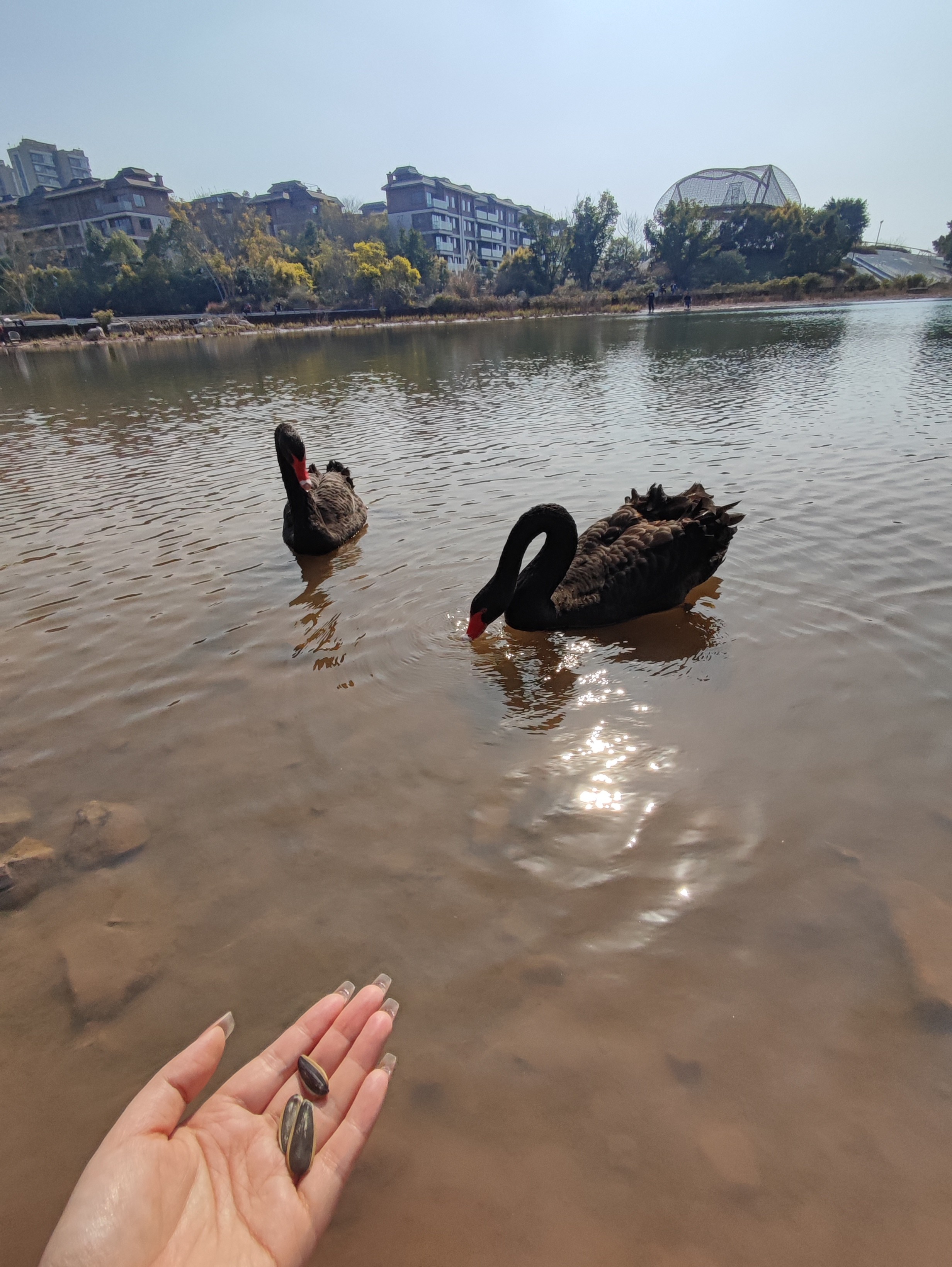 图片附件