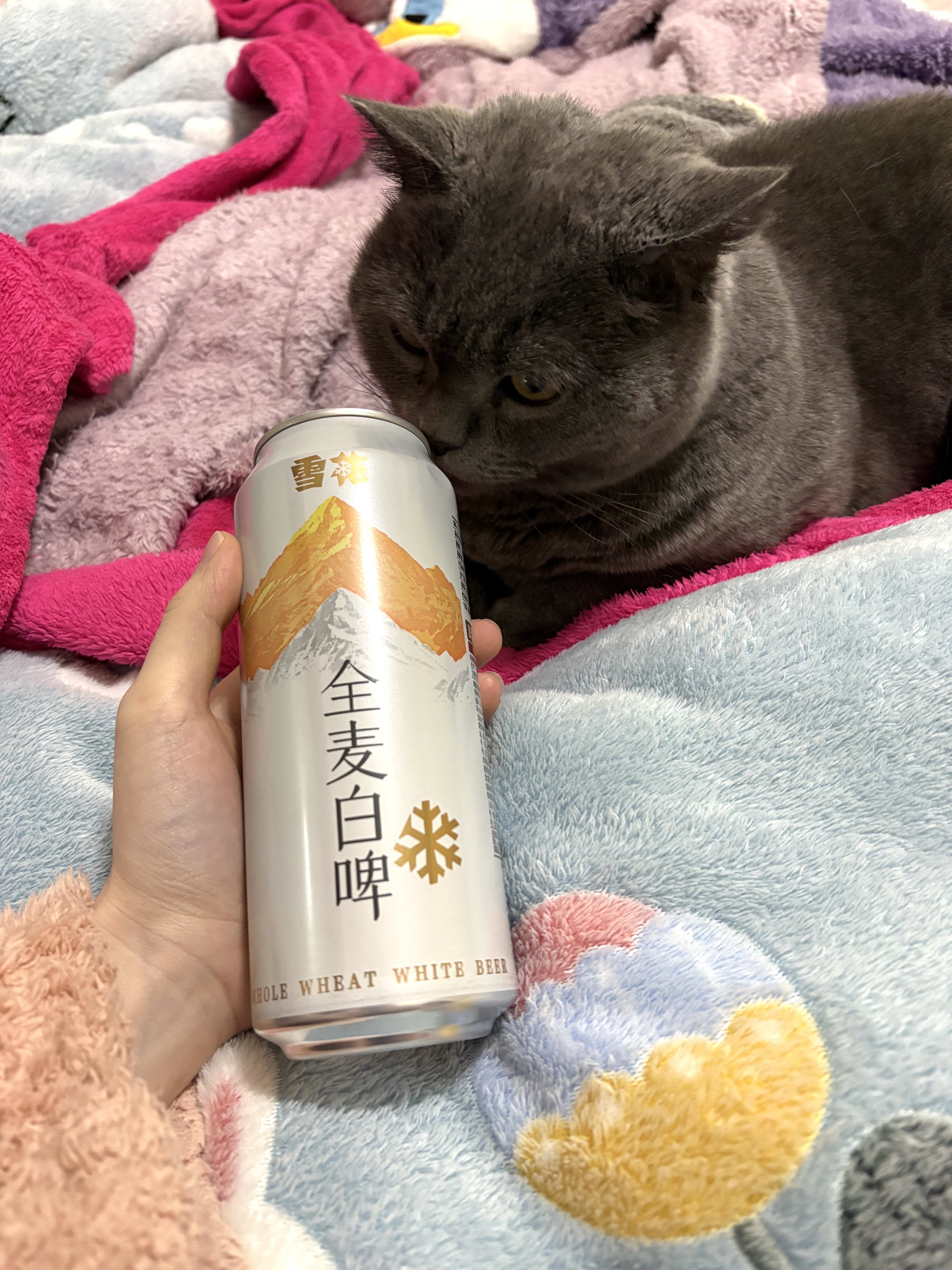 图片附件
