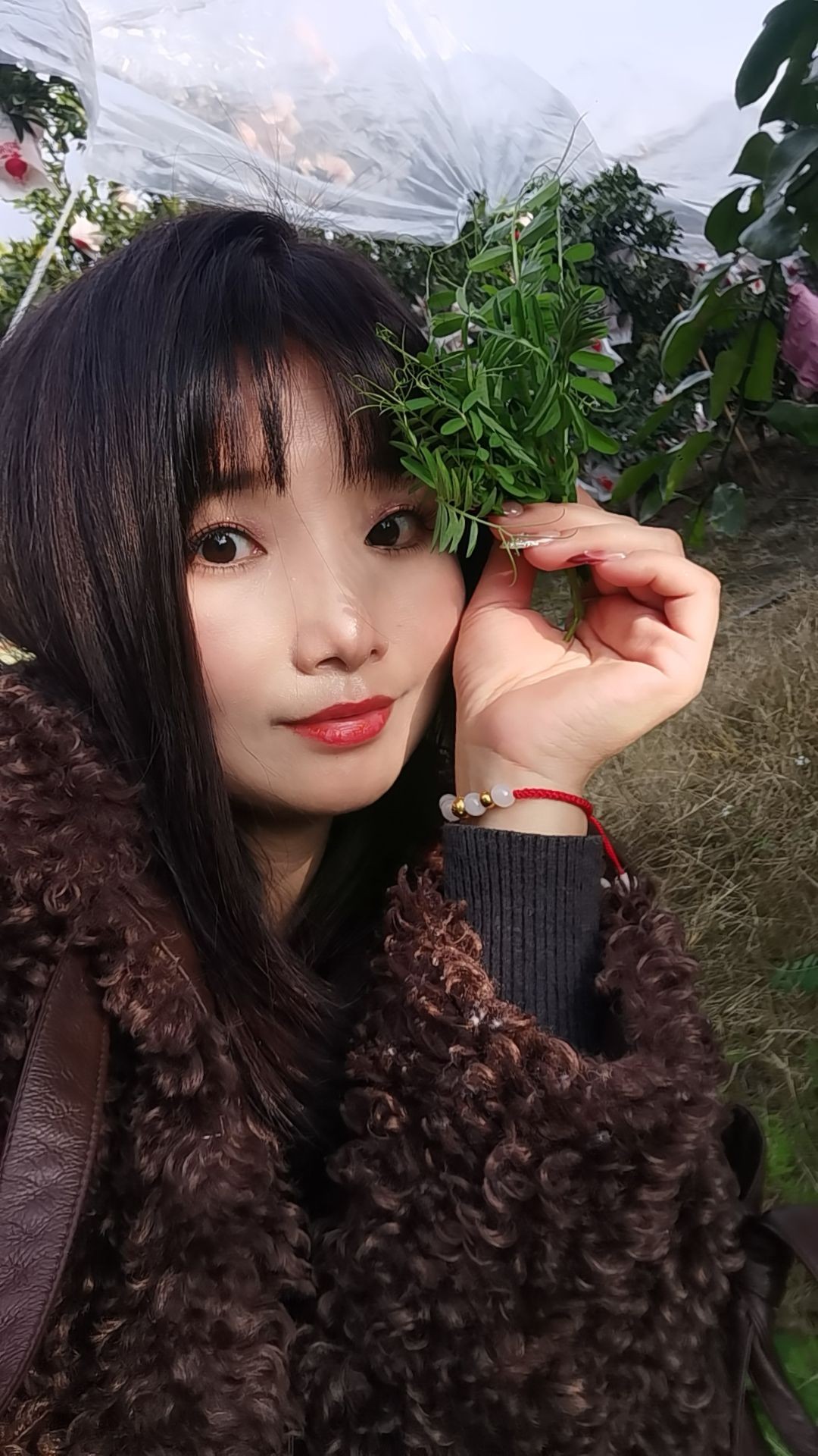 图片附件