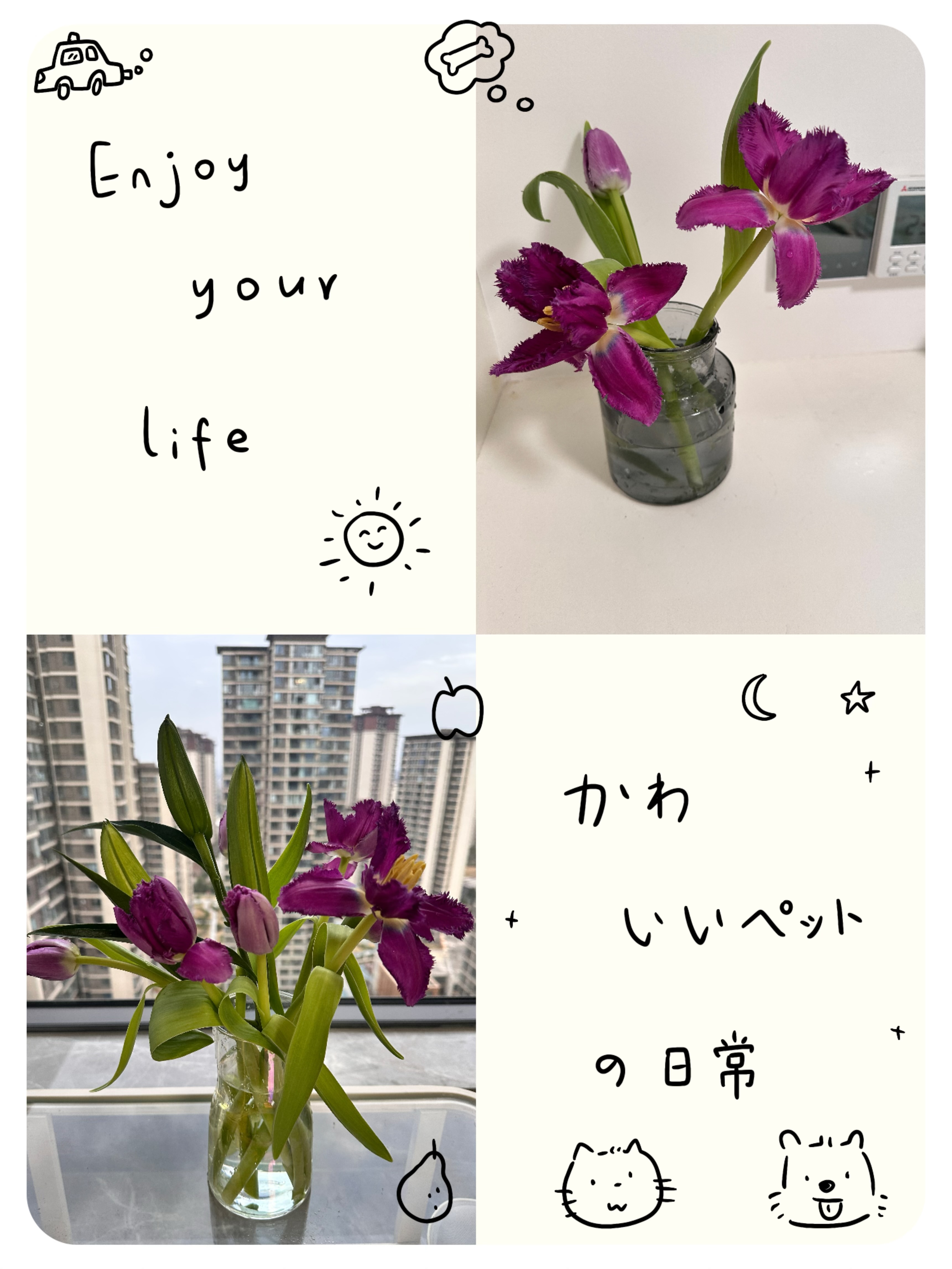 图片附件