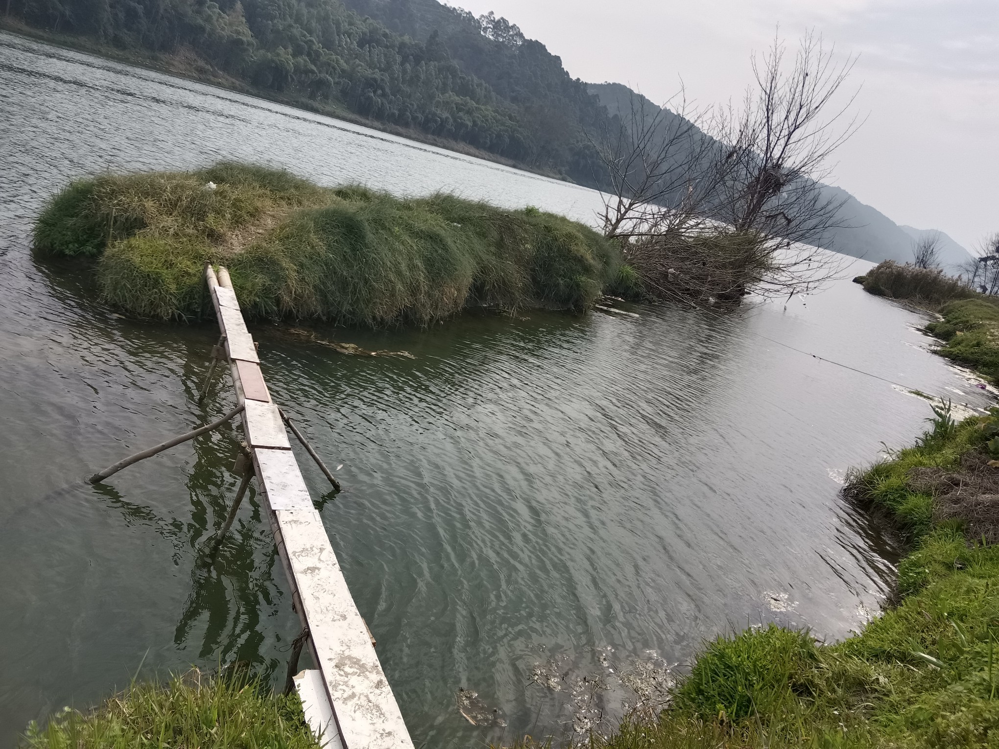 图片附件