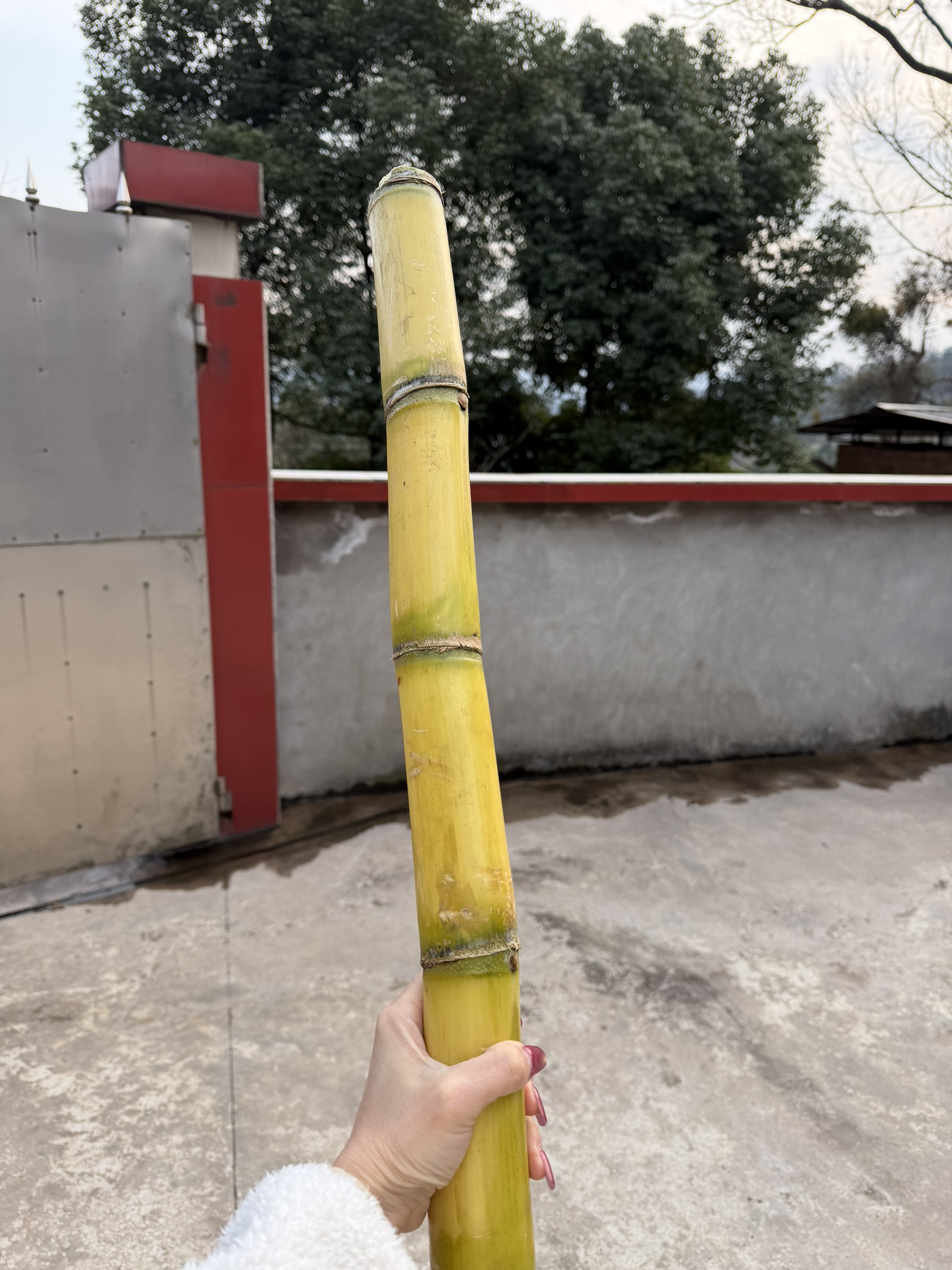图片附件