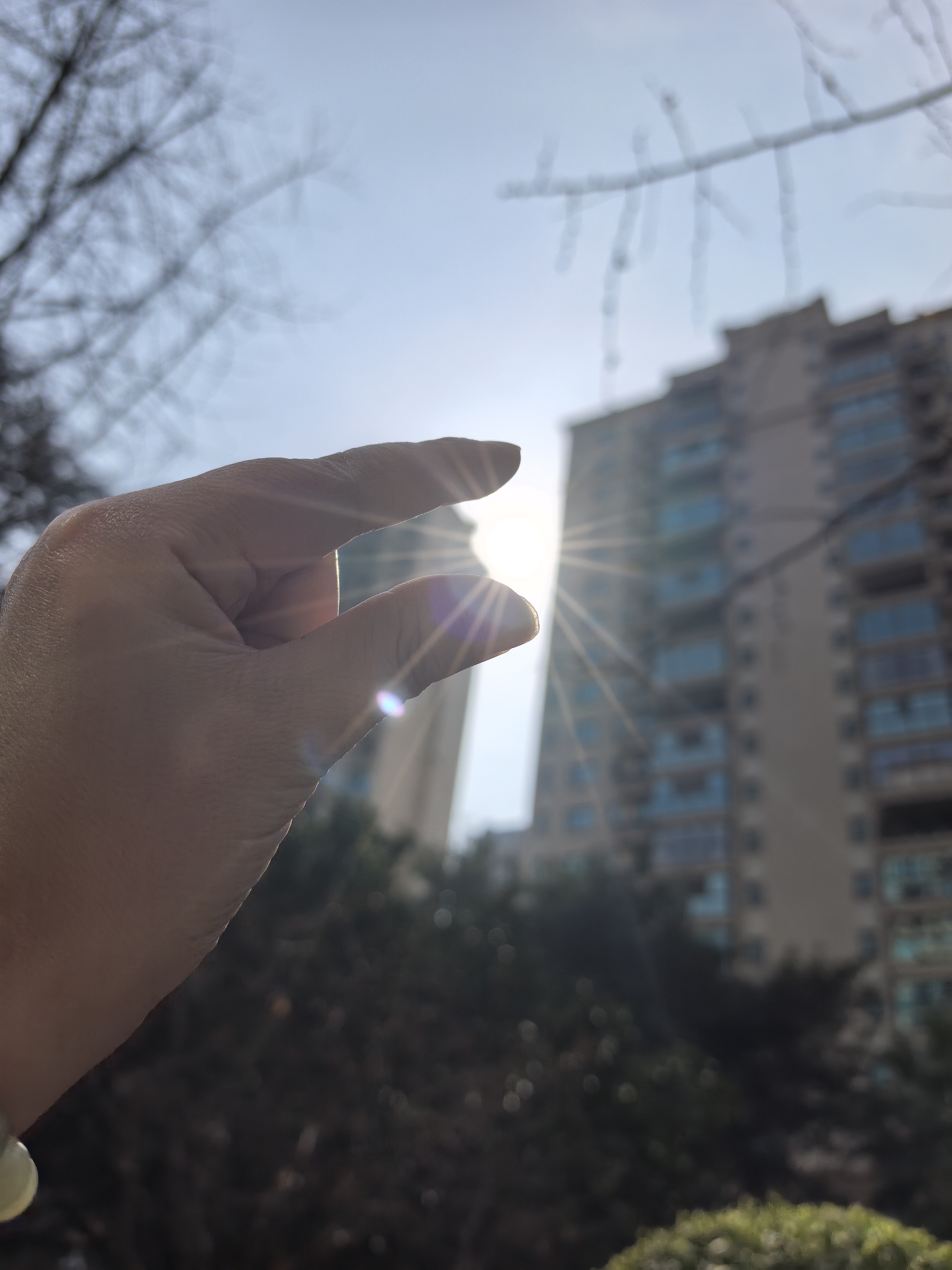 图片附件