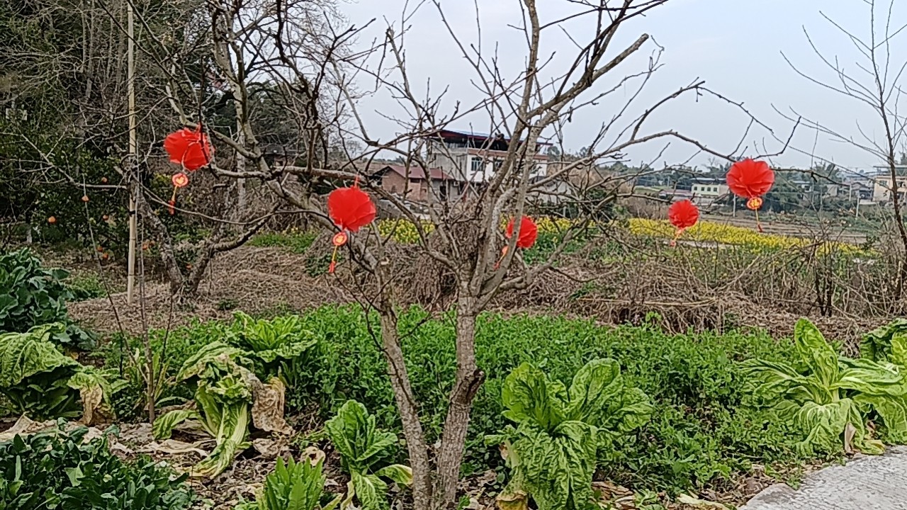 图片附件