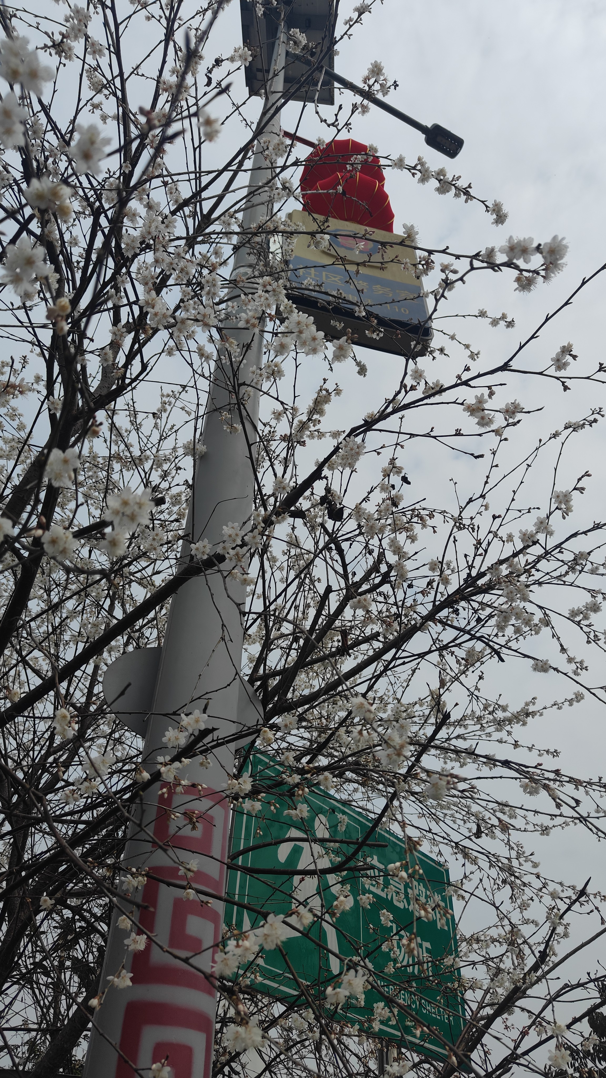 图片附件