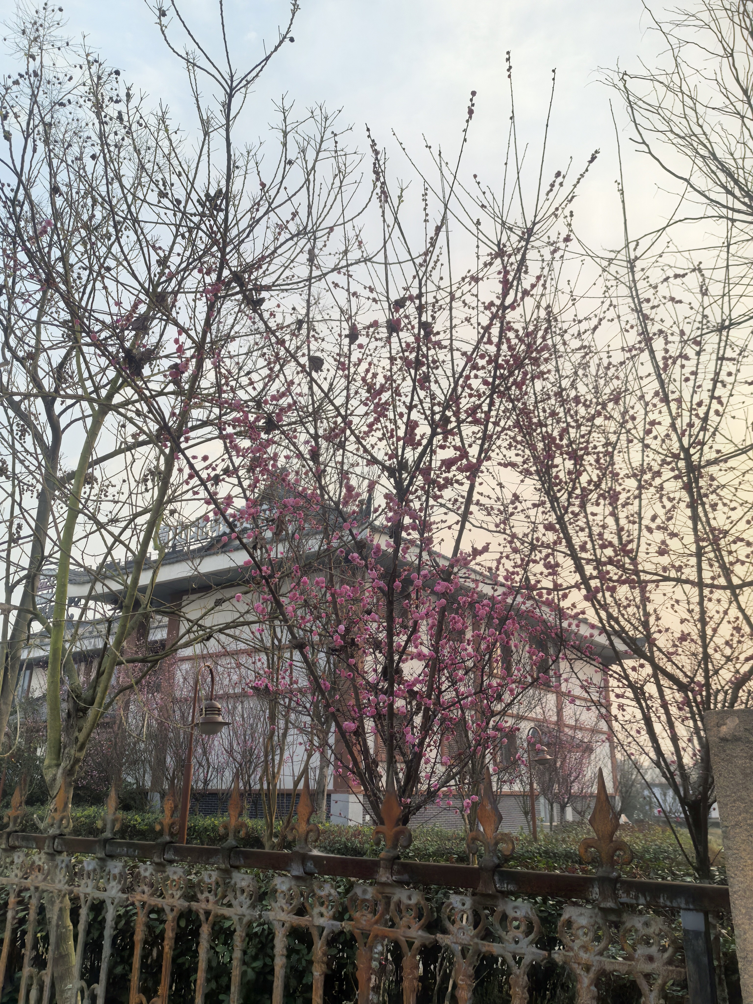 图片附件