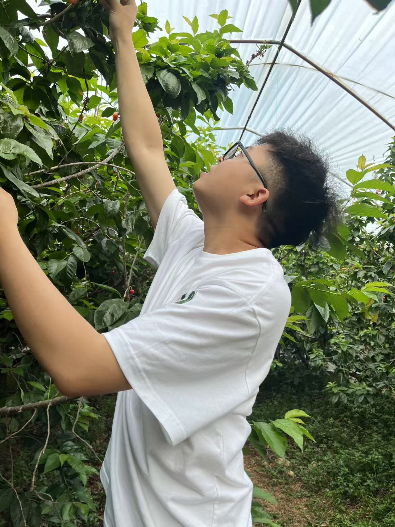 图片附件