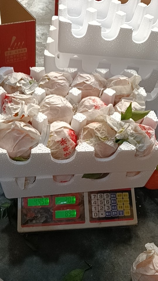 图片附件