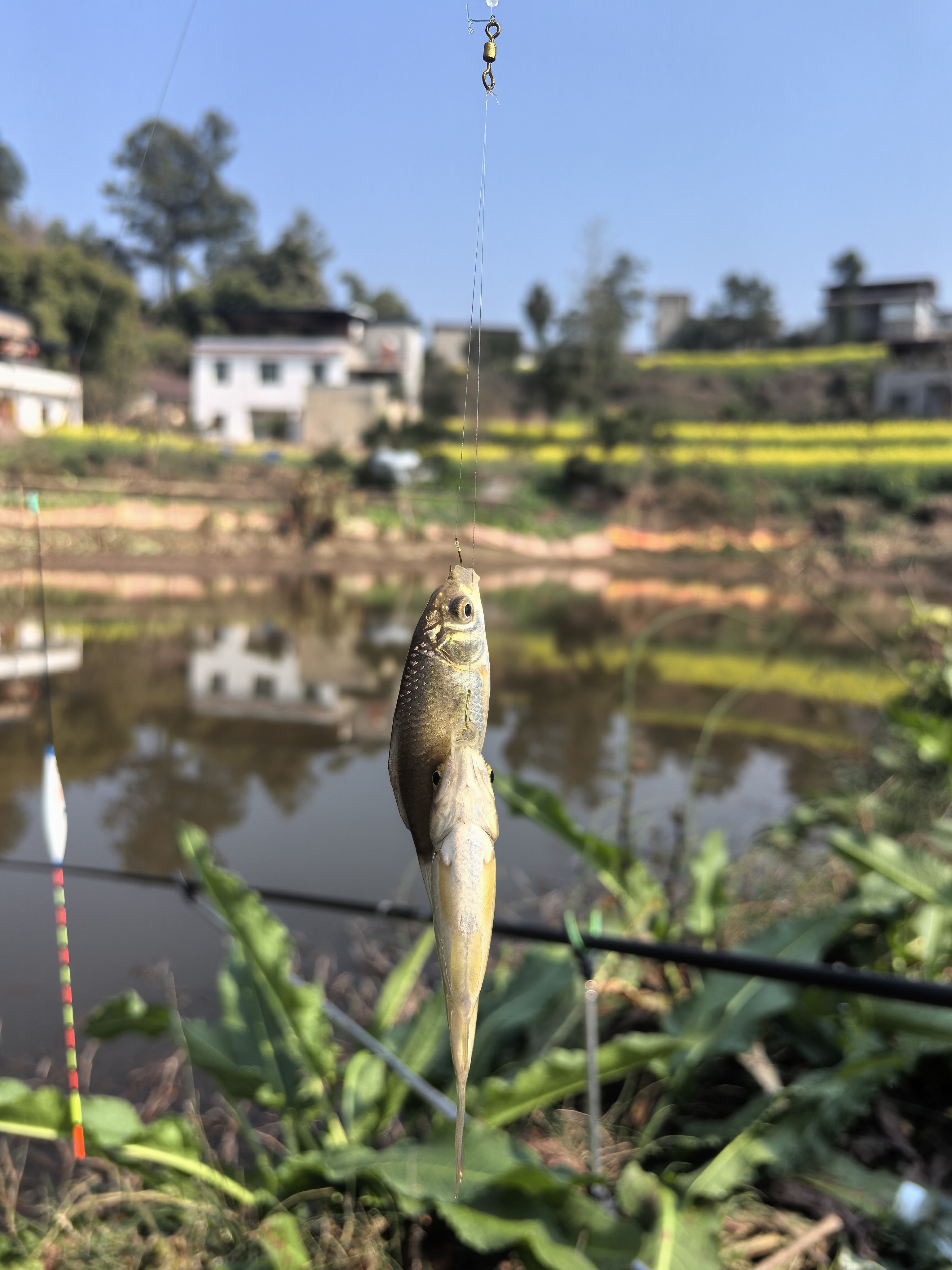 图片附件