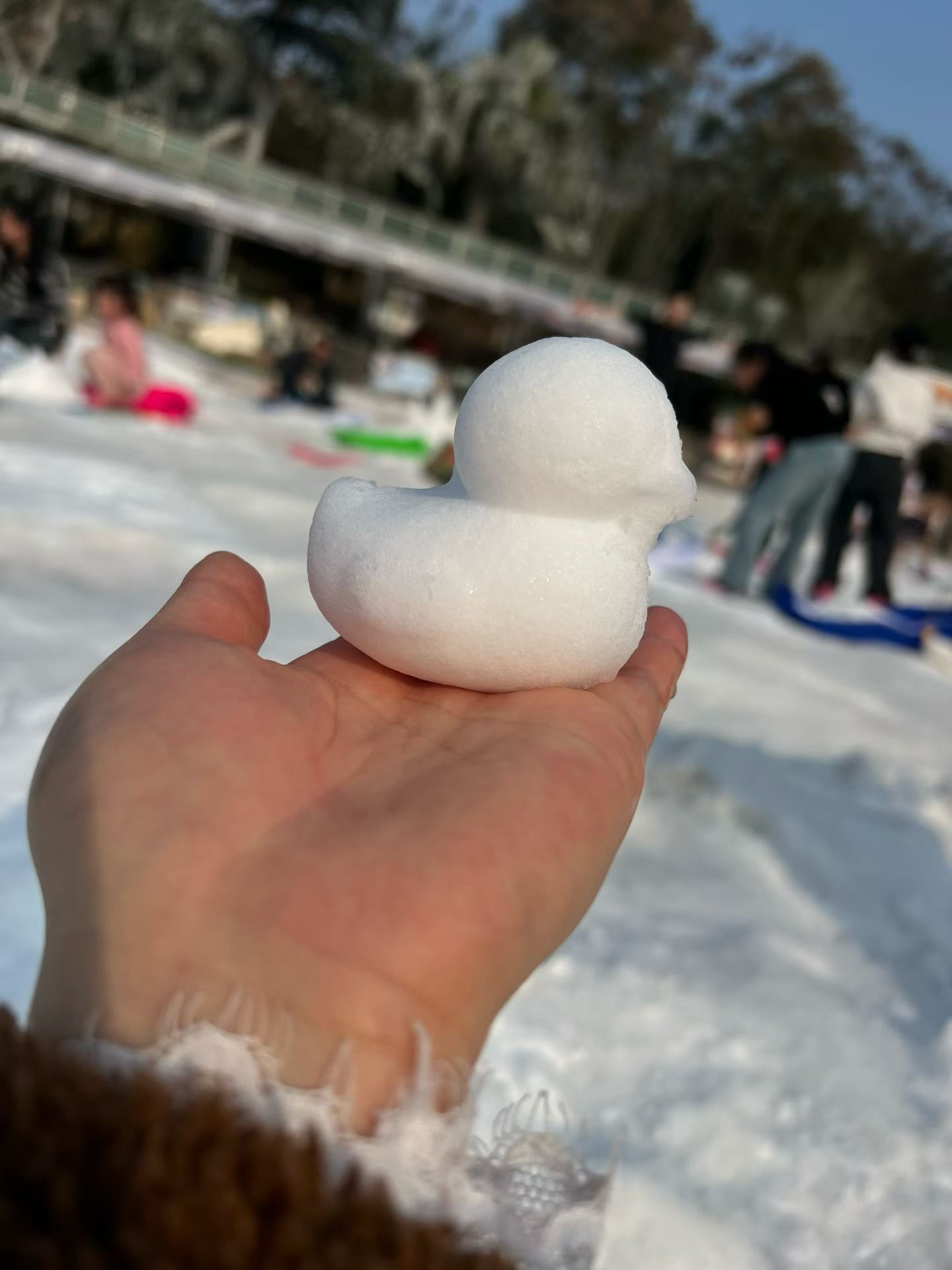 图片附件