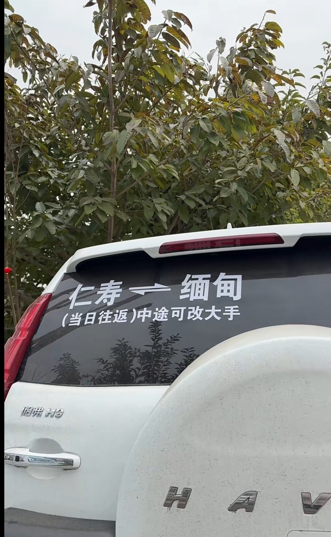 图片附件
