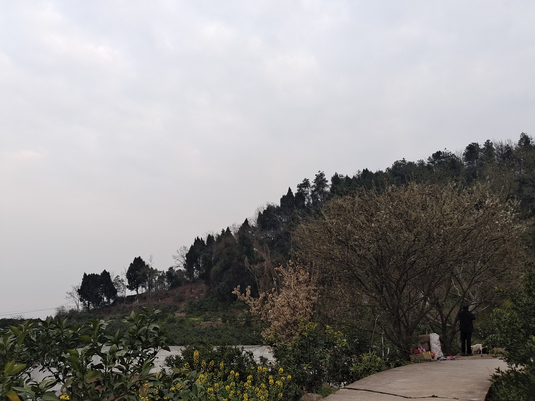 图片附件