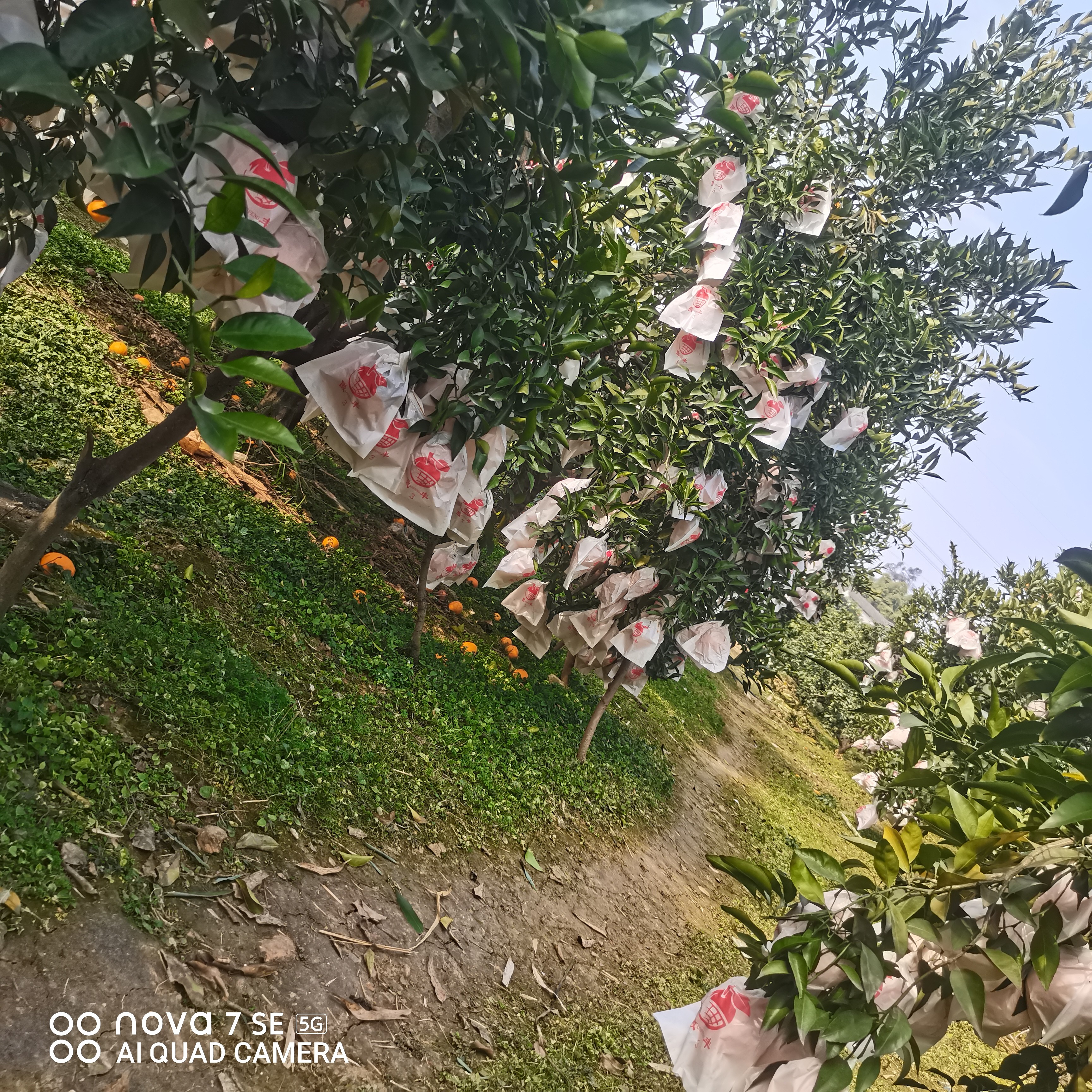 图片附件