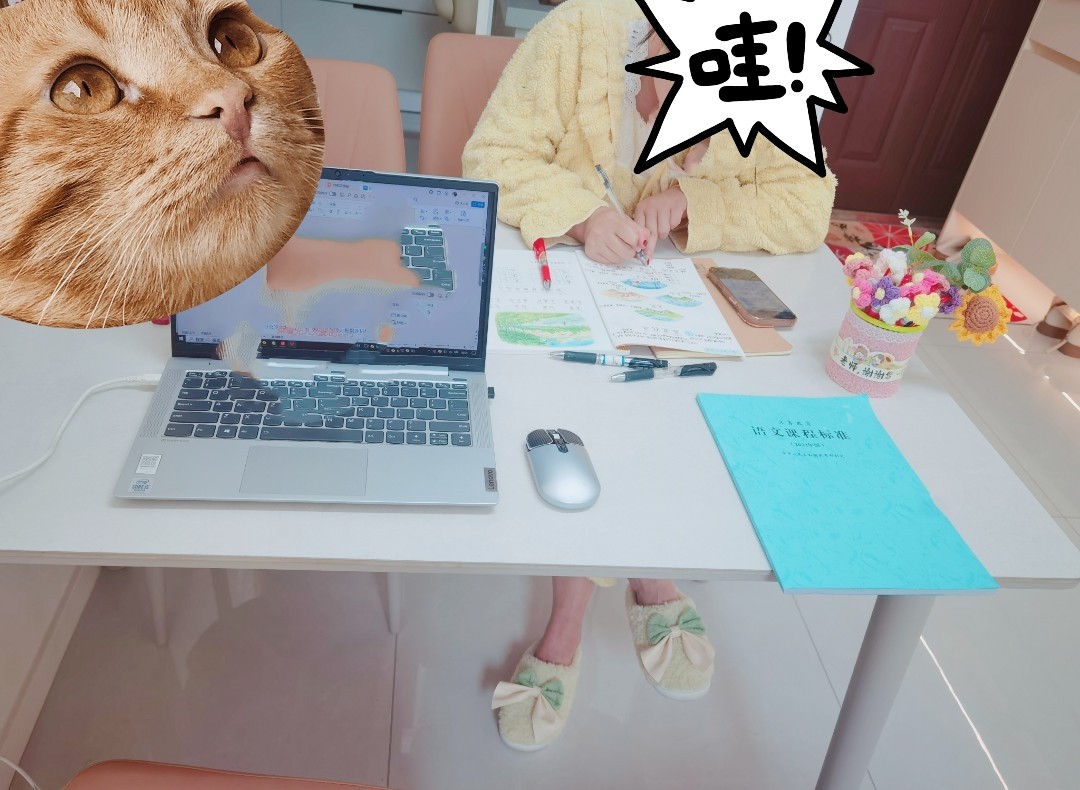 图片附件