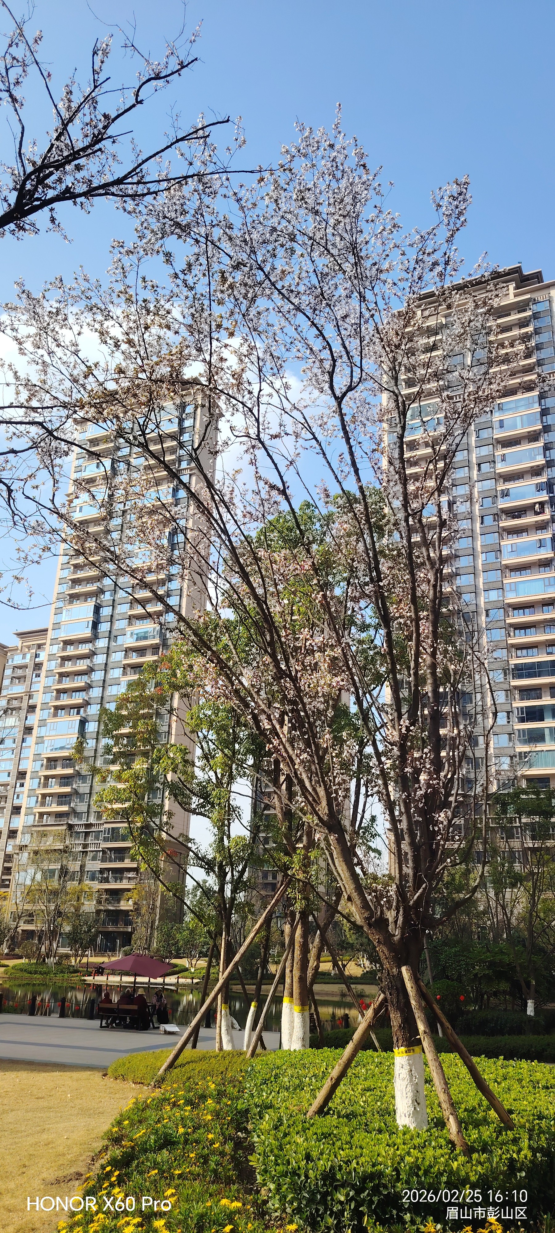 图片附件