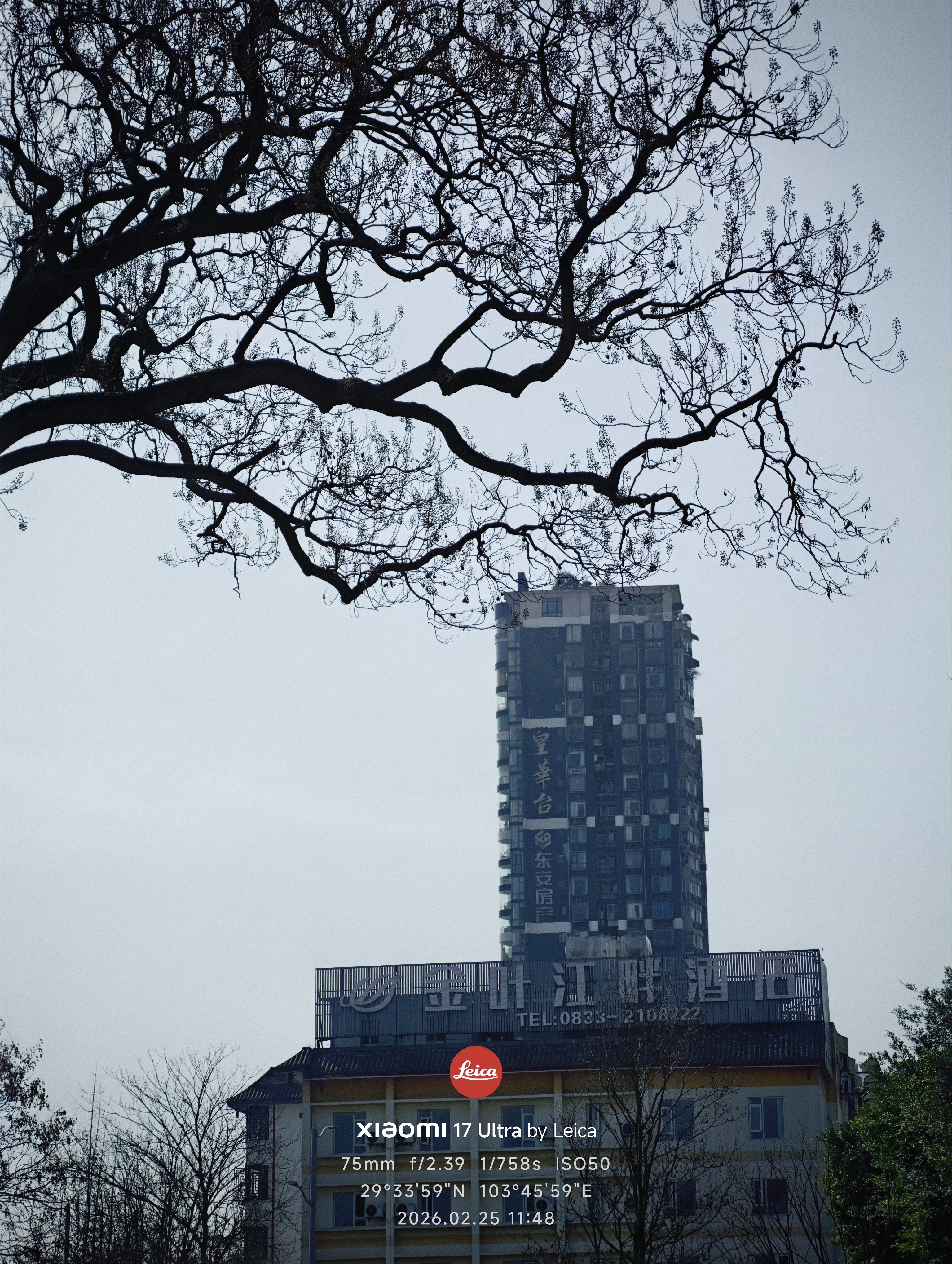 图片附件