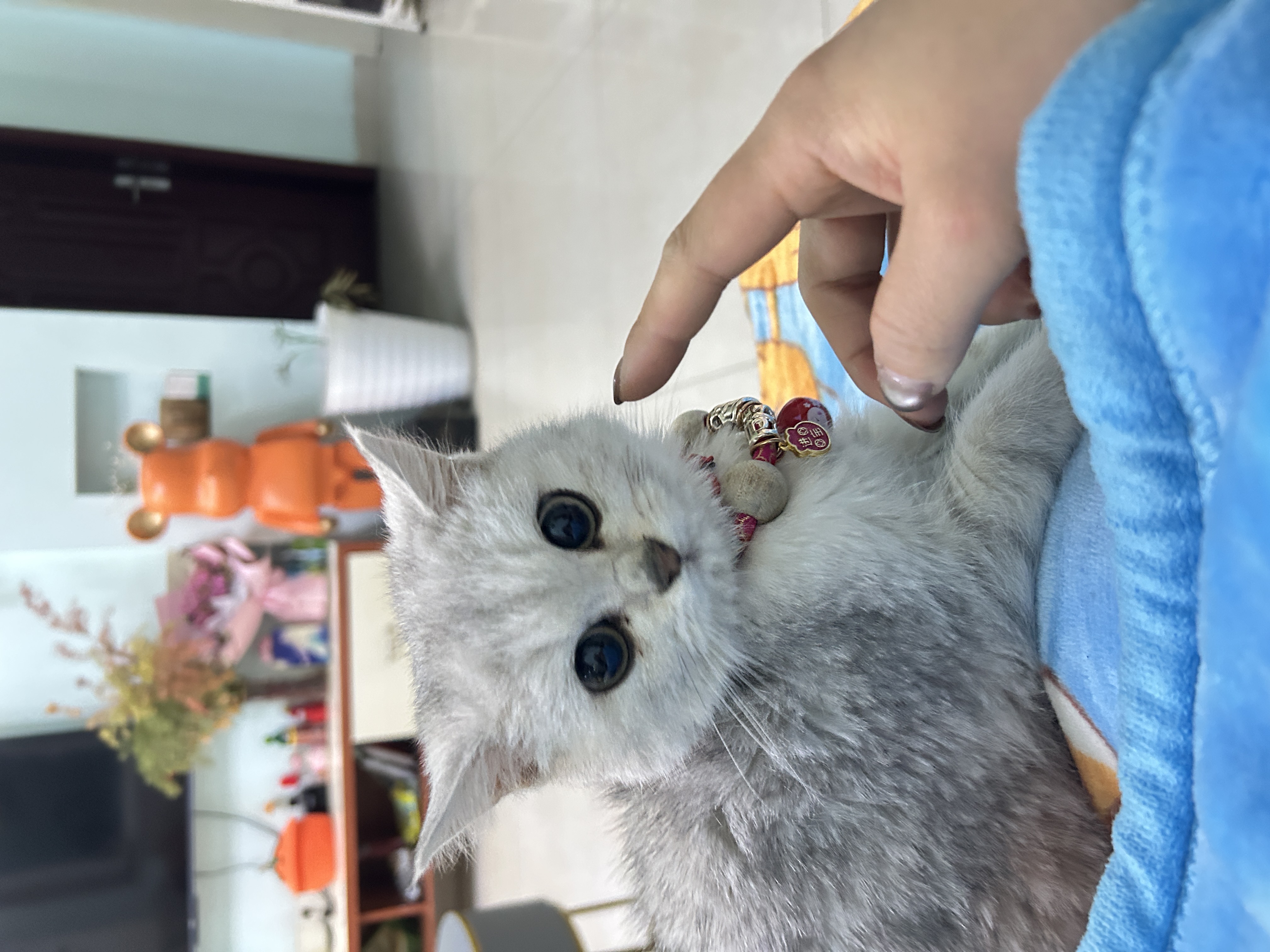 图片附件