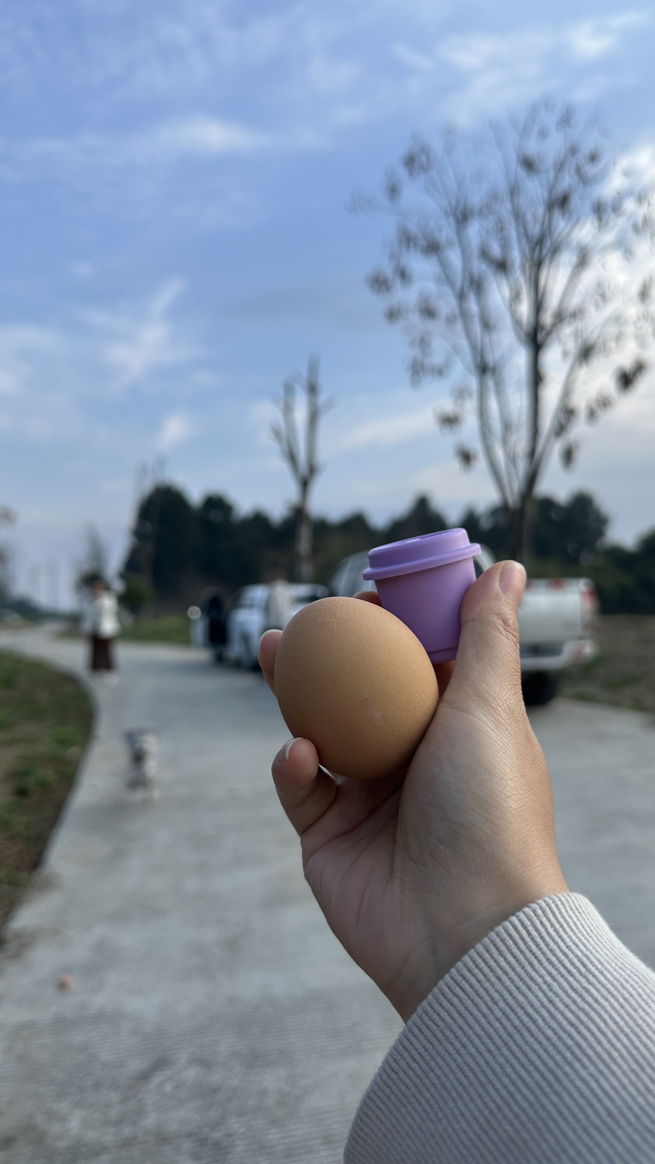 图片附件