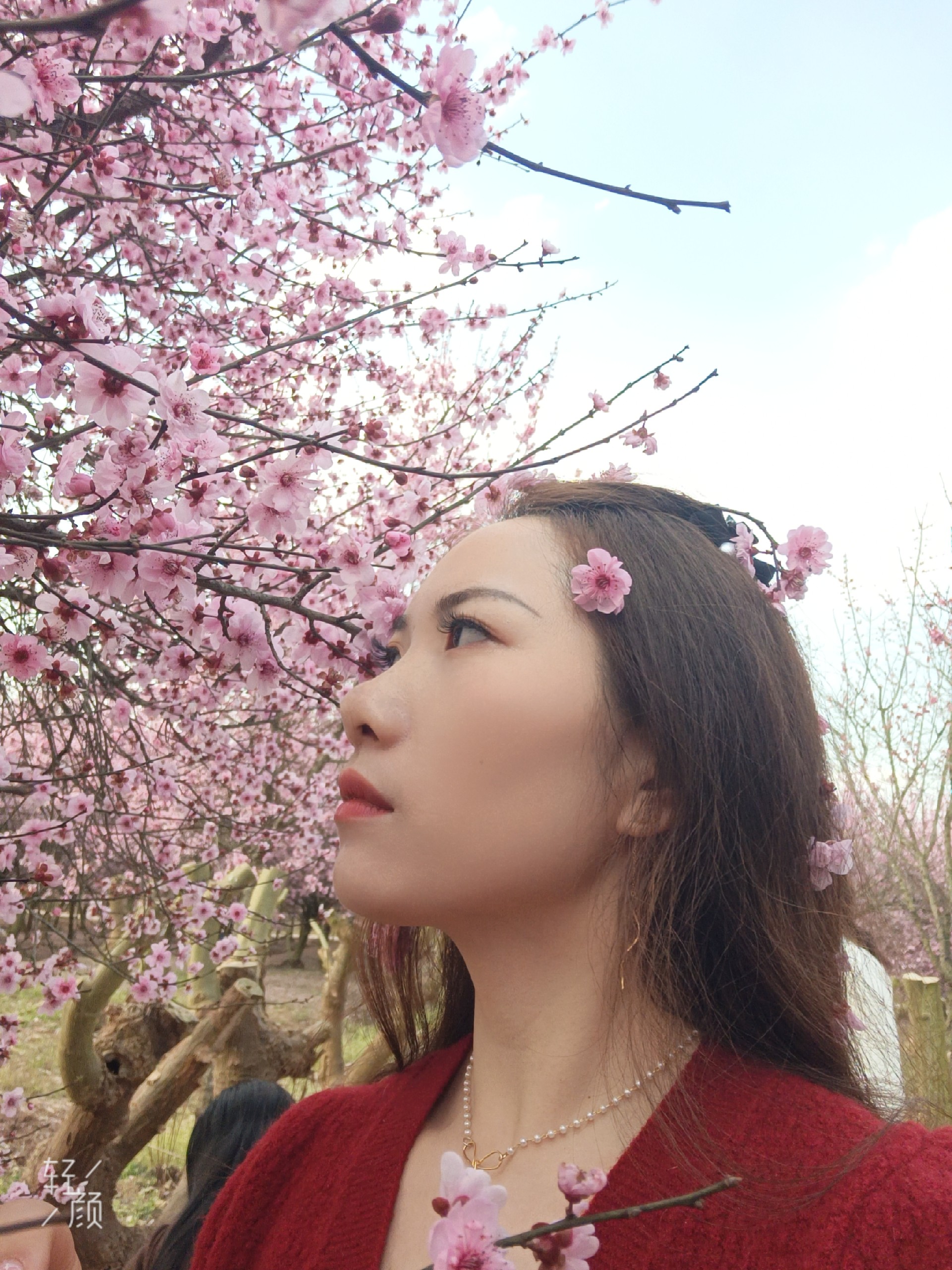 图片附件