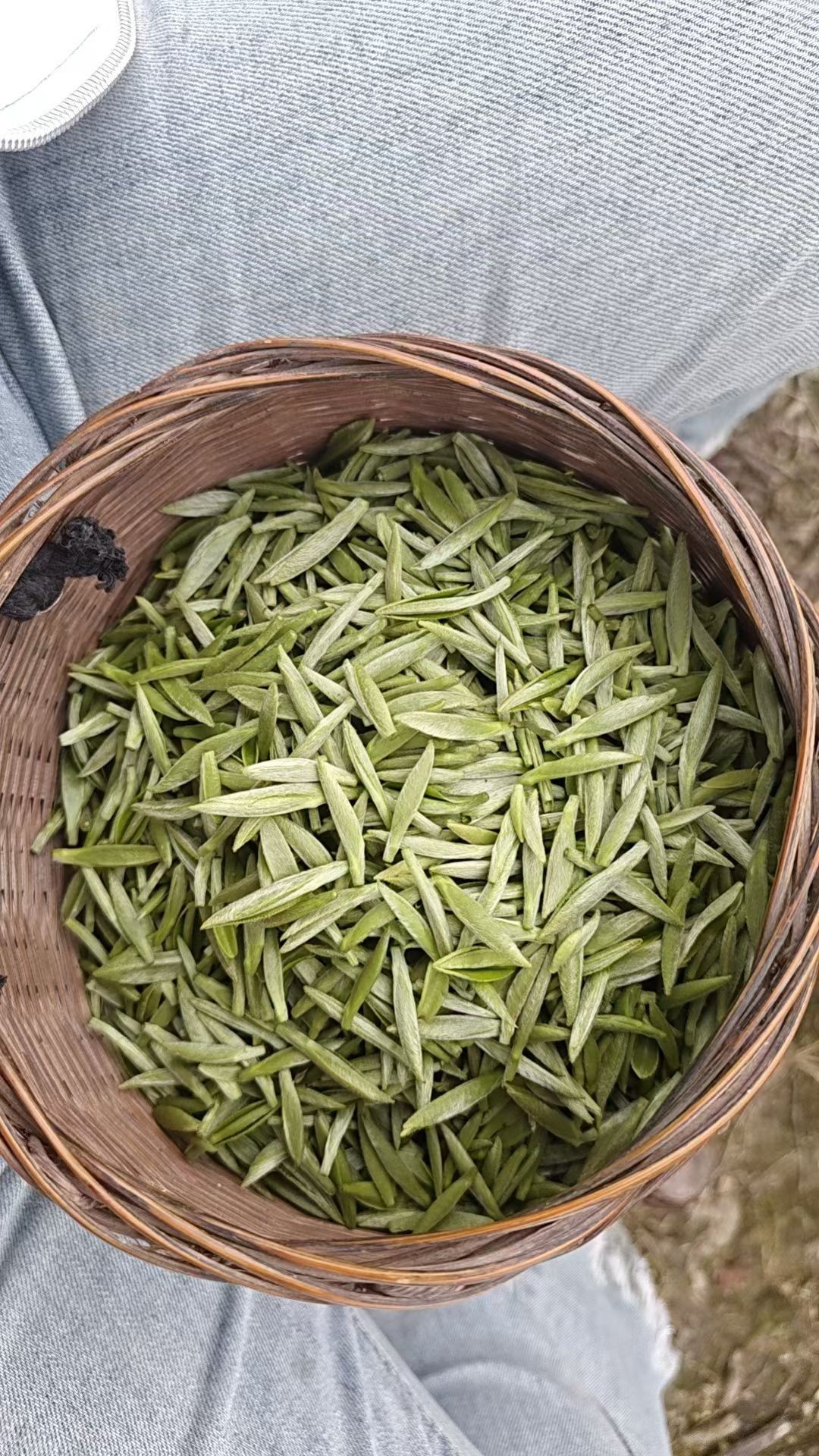 图片附件