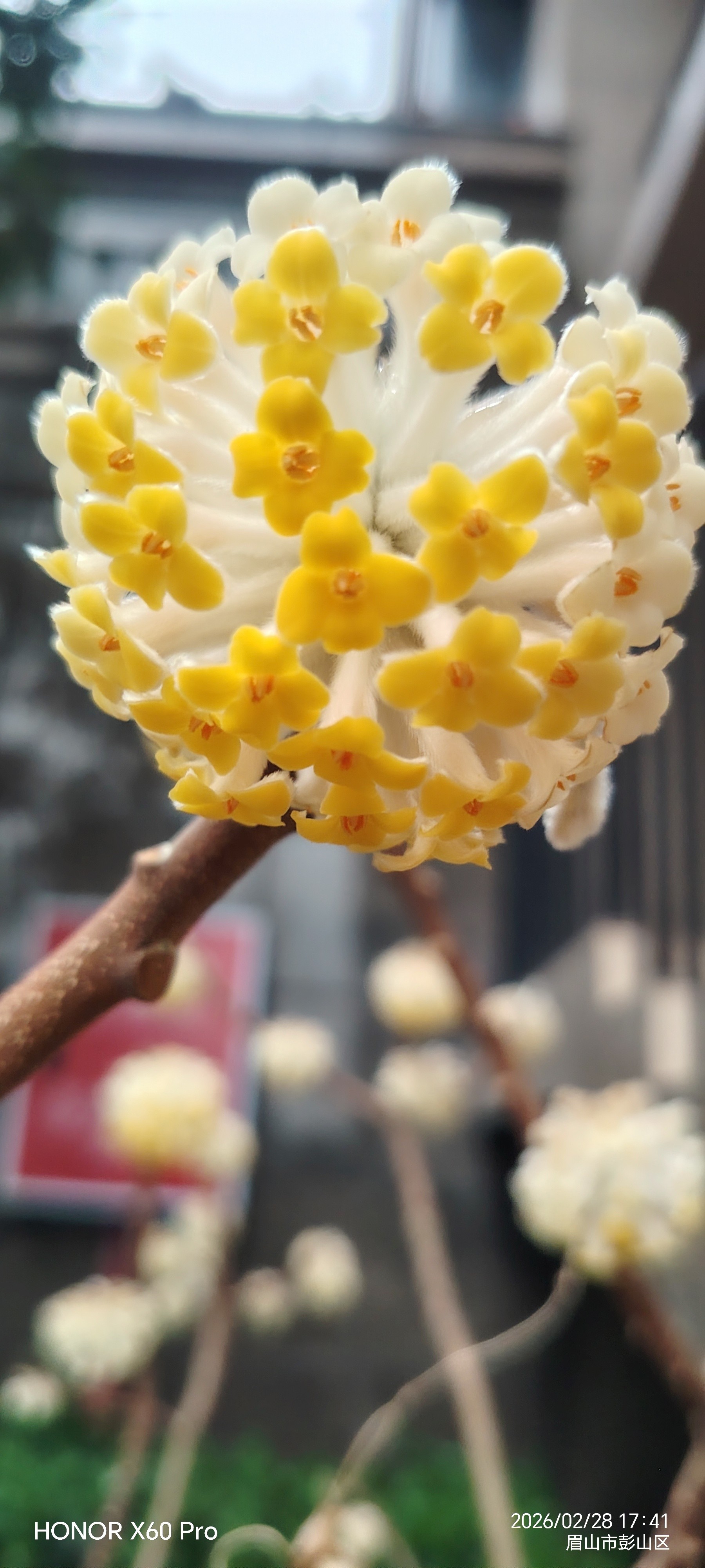 图片附件