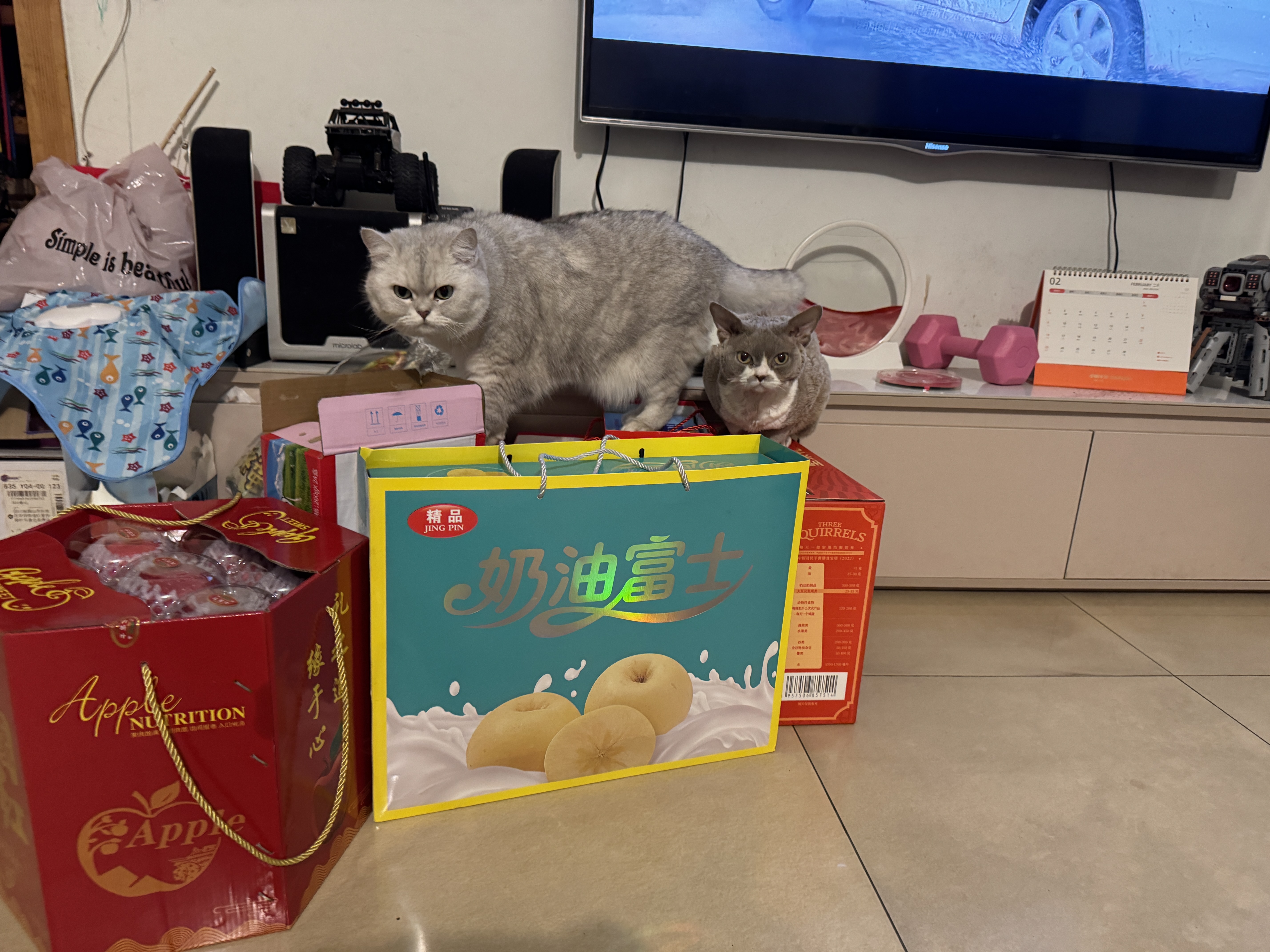 图片附件