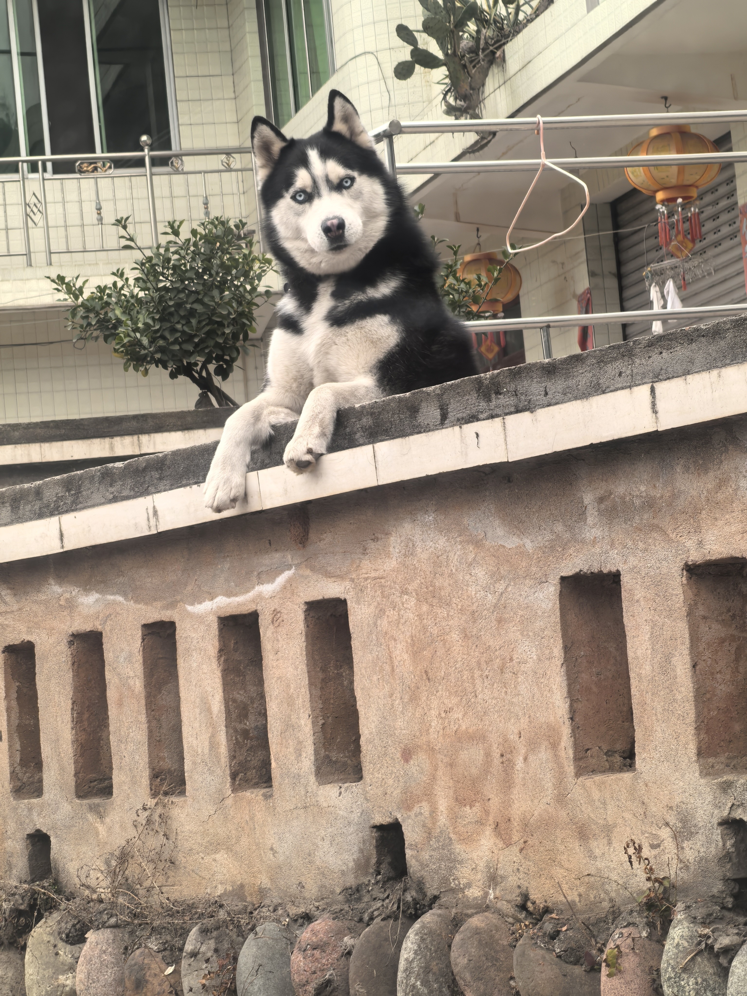图片附件