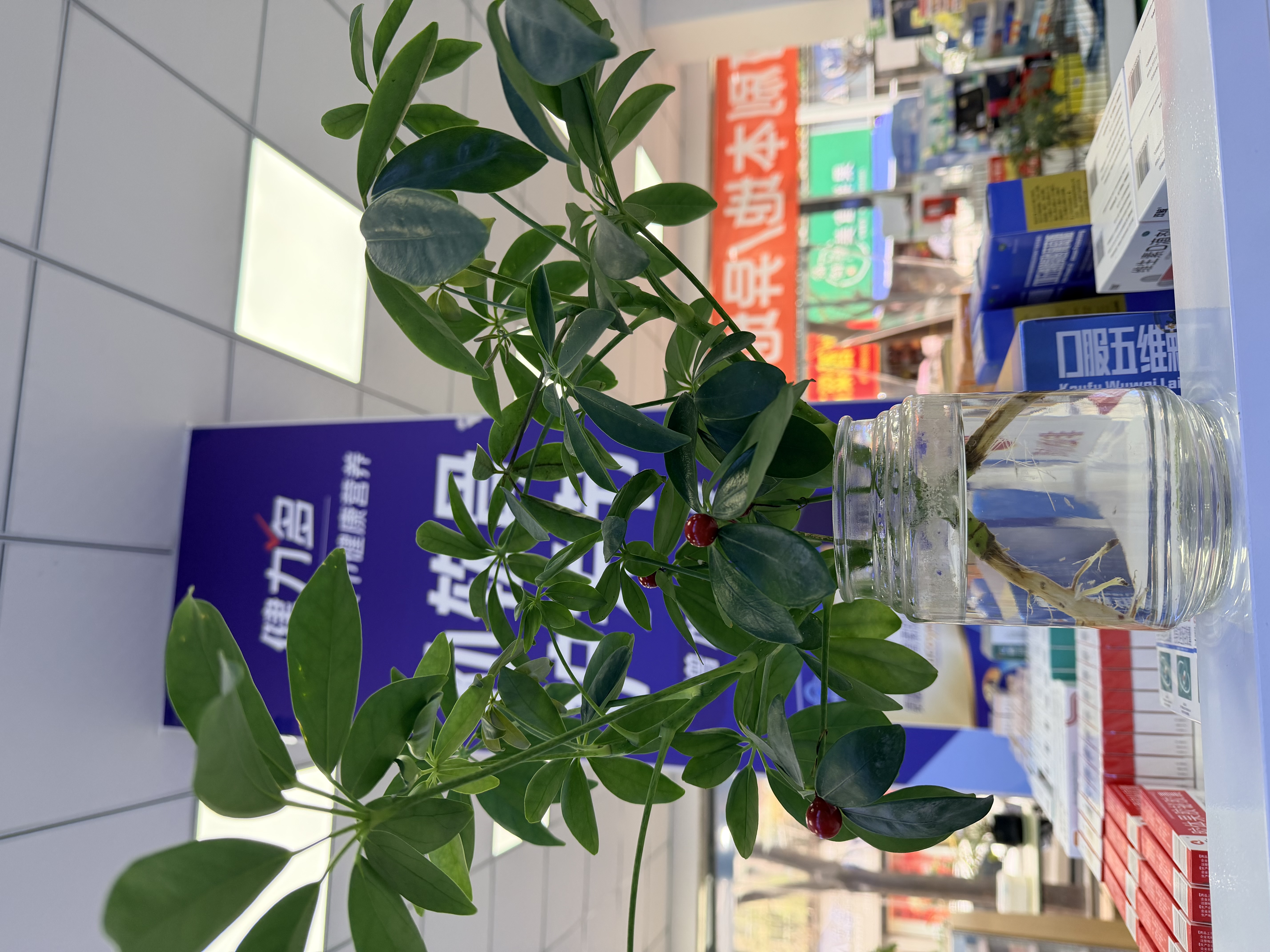 图片附件