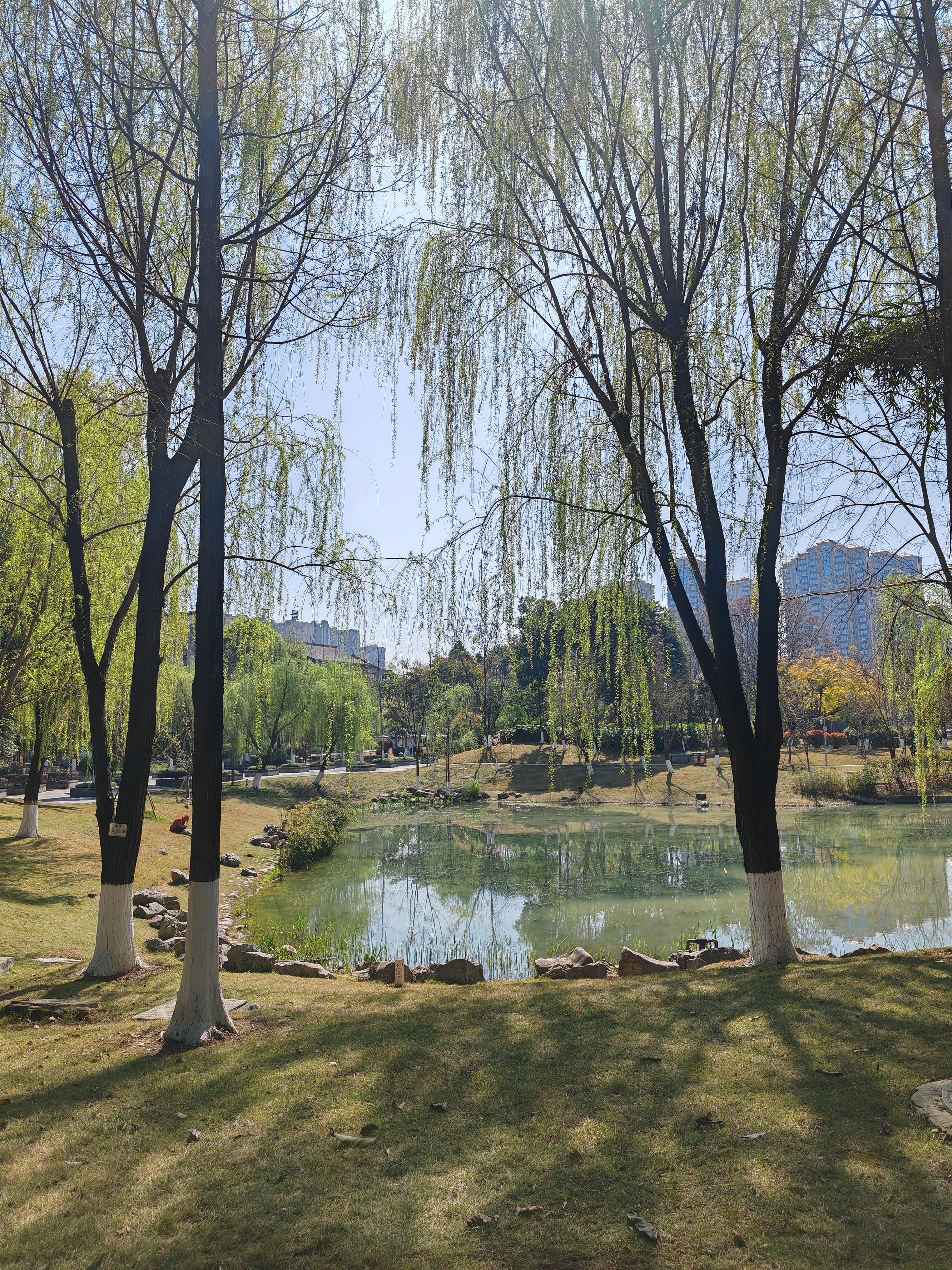 图片附件