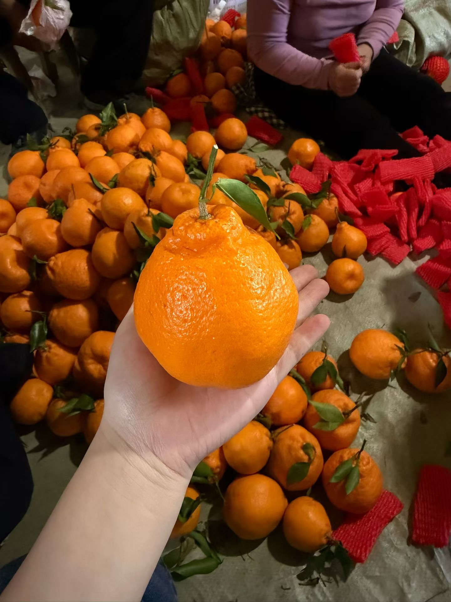 图片附件