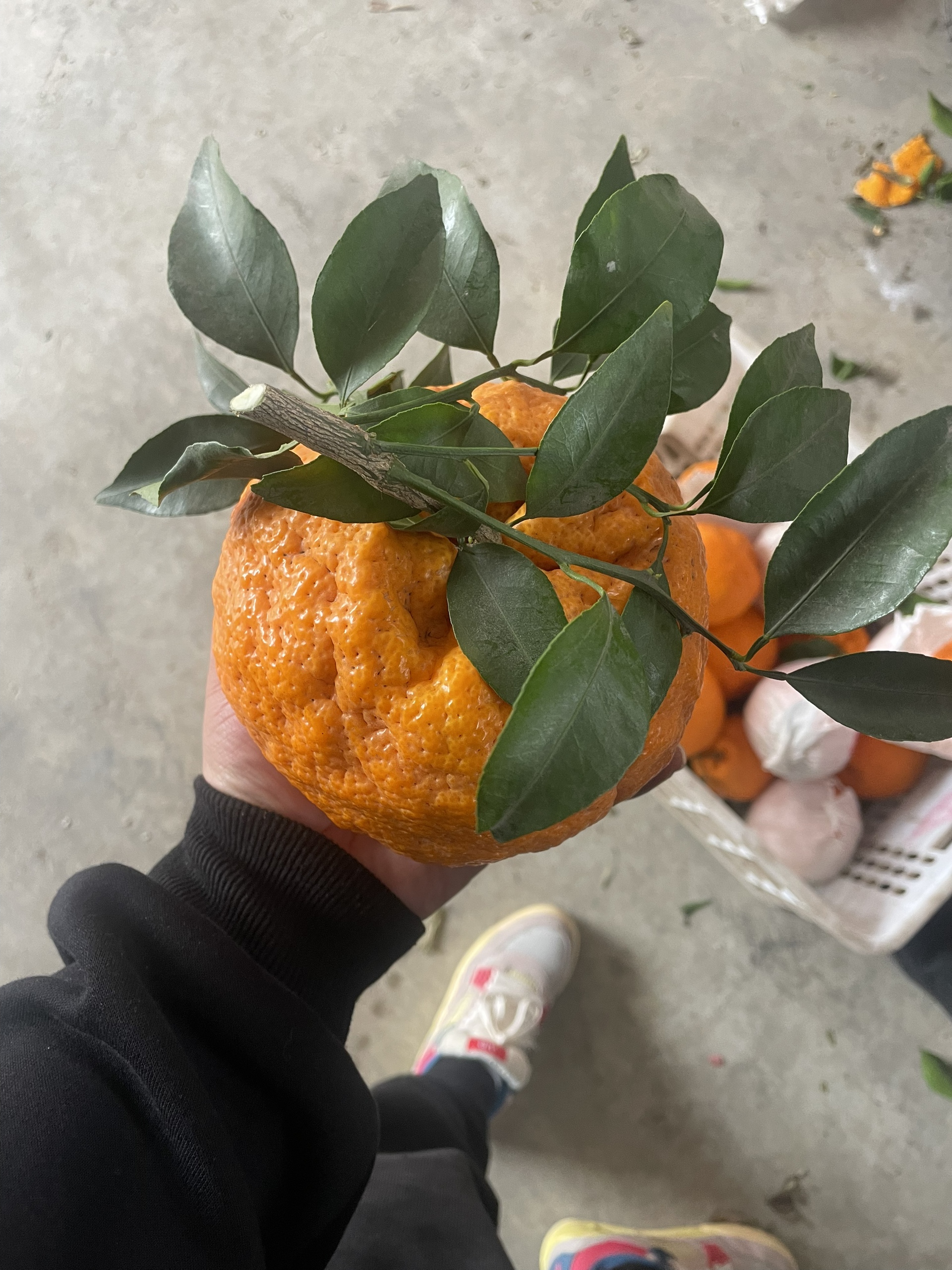 图片附件