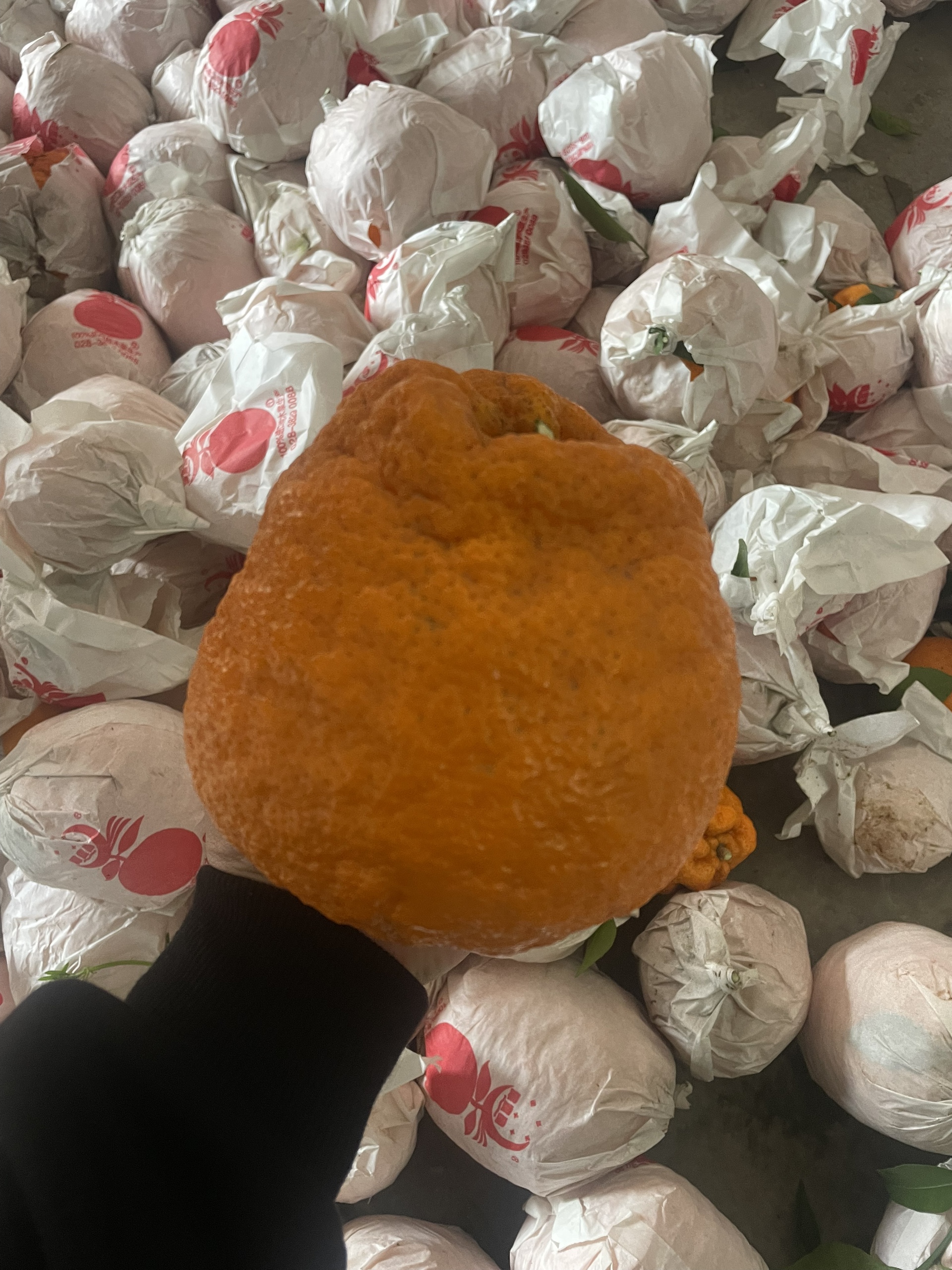 图片附件
