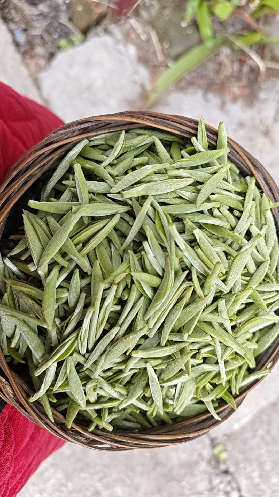 图片附件