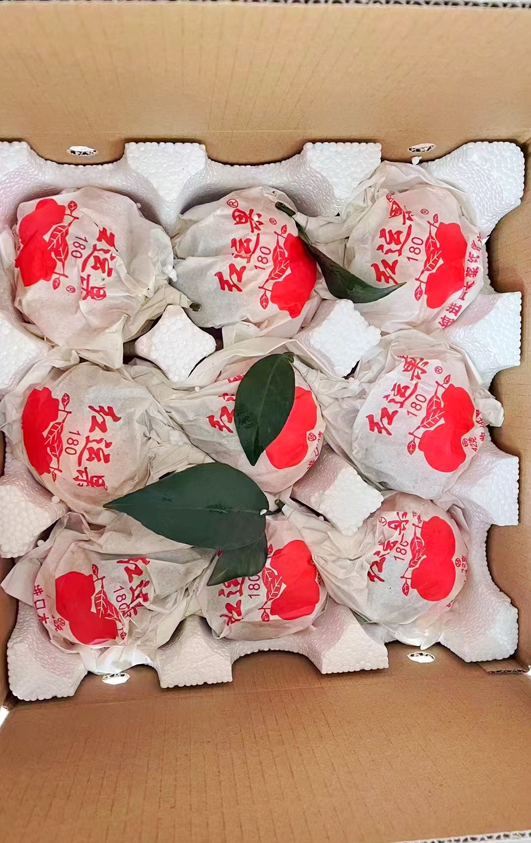 图片附件