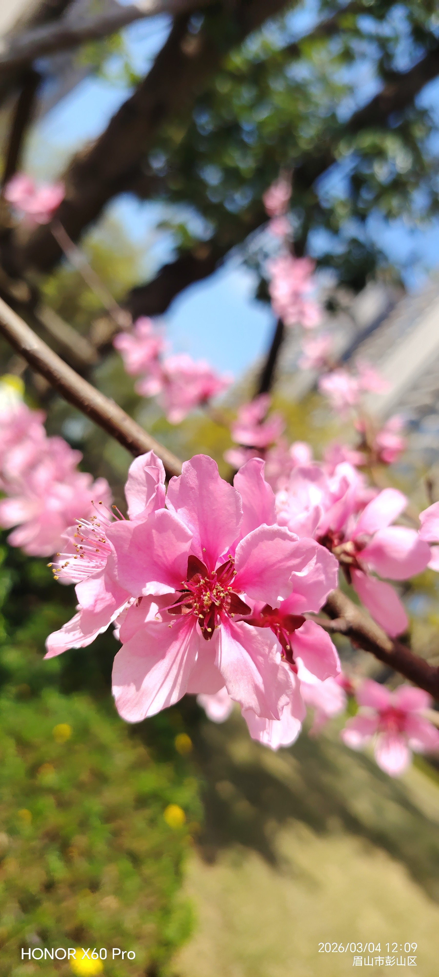 图片附件