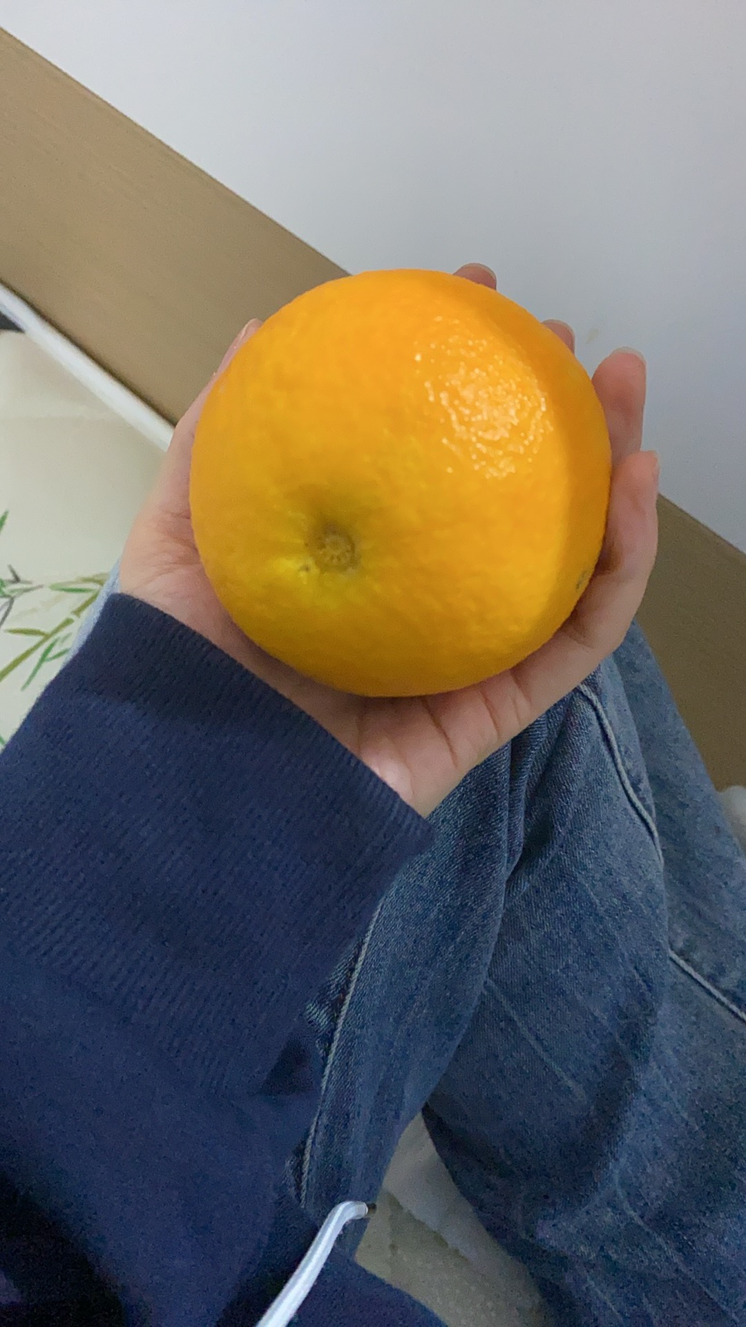 图片附件