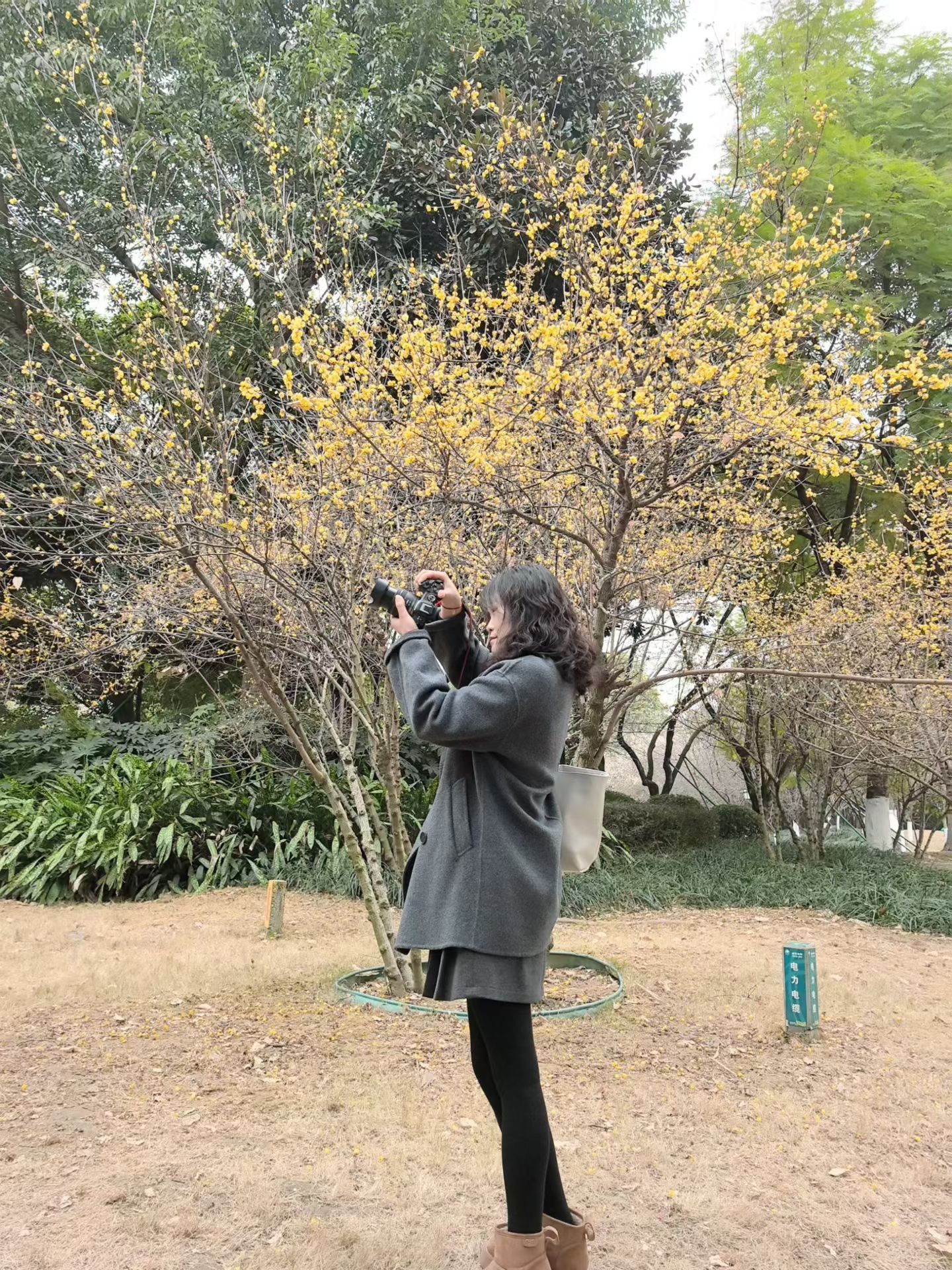 图片附件