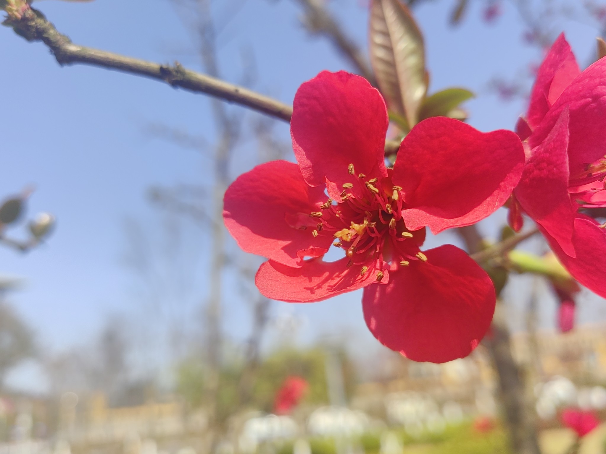 图片附件